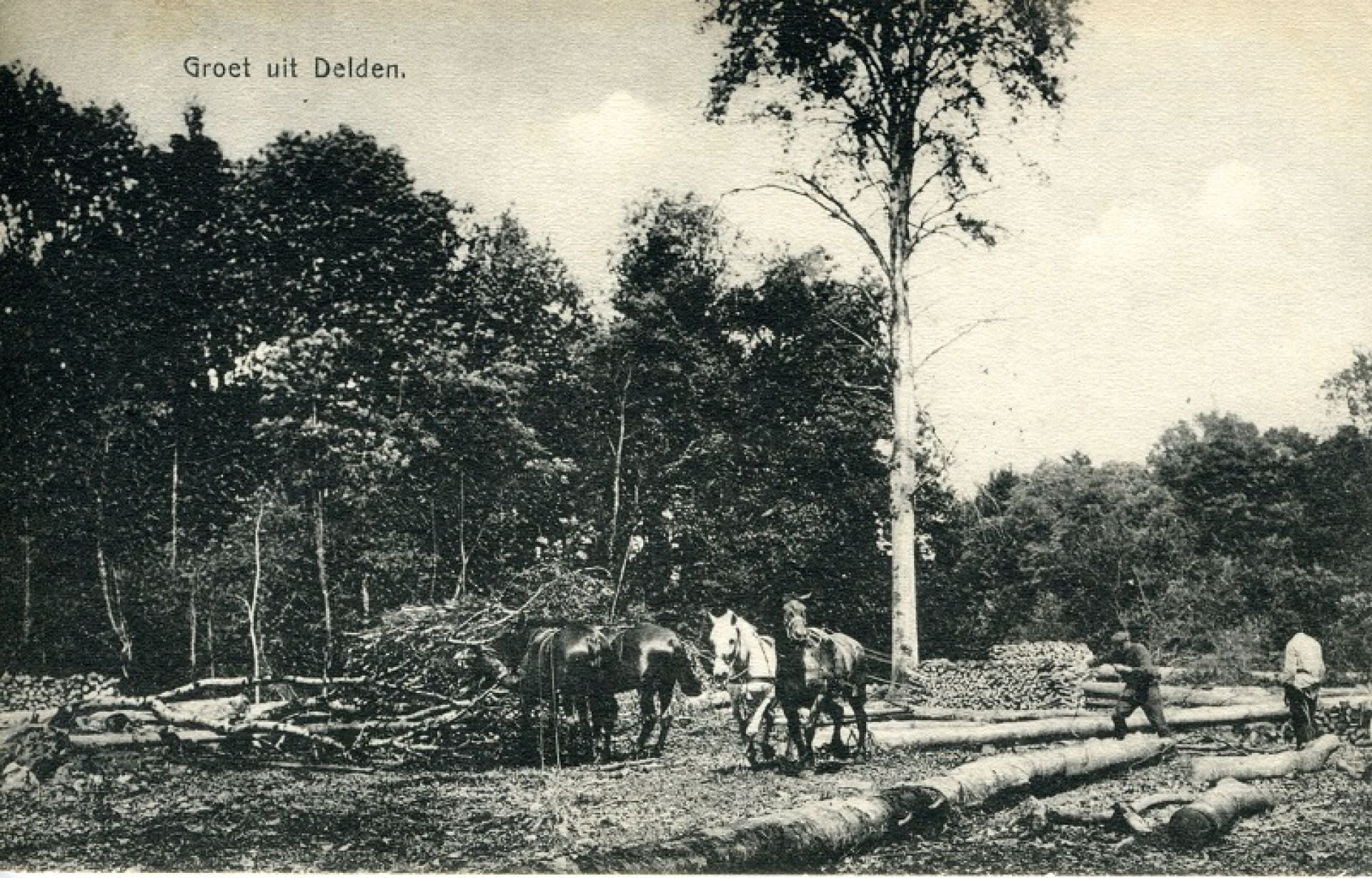 De geschiedenis van Delden in Beeld - Bosploeg Twickel in 1912