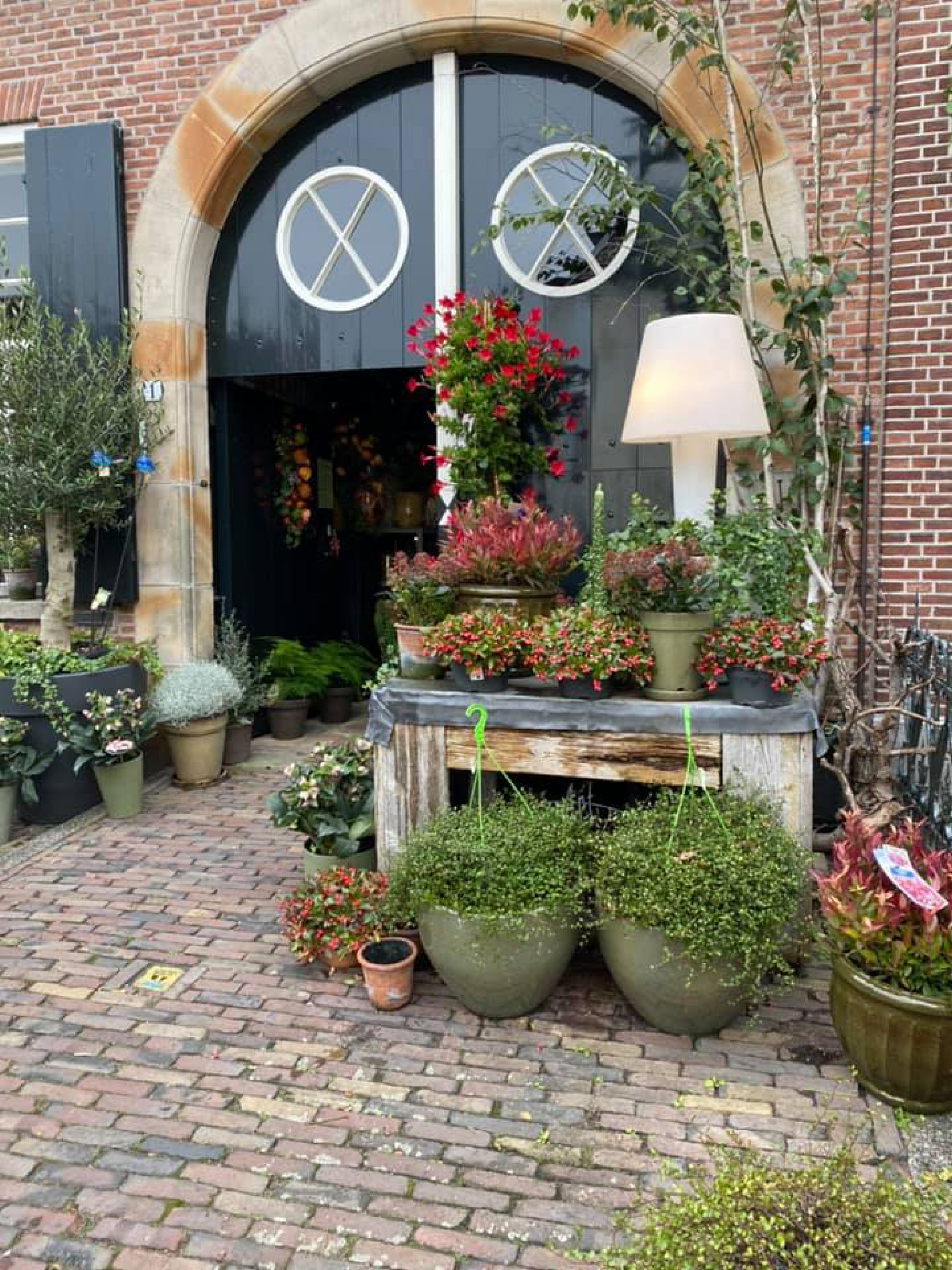 Opnieuw plantendief bij Bloembinderij In den Kroon