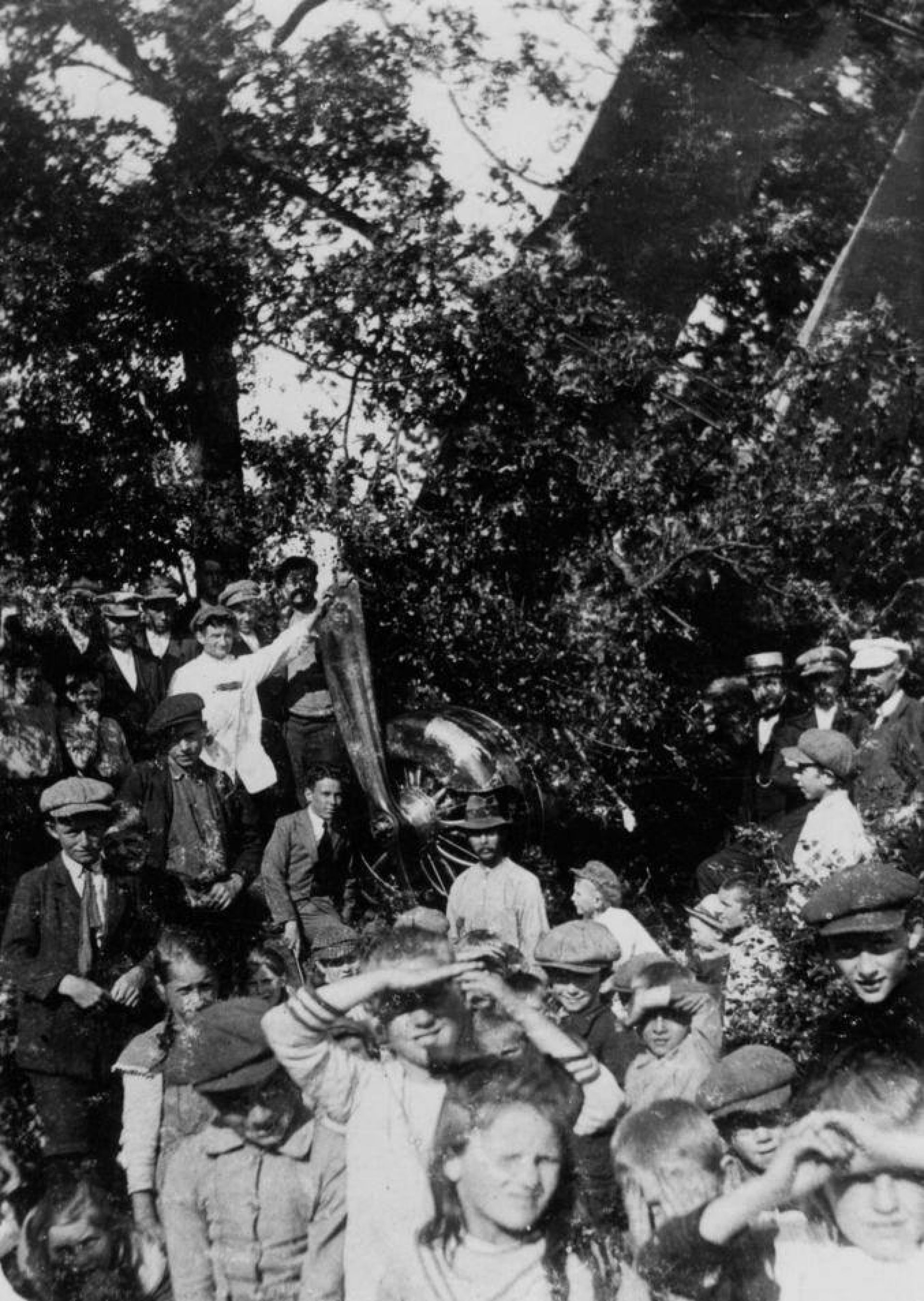 De geschiedenis van Delden in Beeld - Neergestort vliegtuig (1920) trekt veel bekijks in Delden