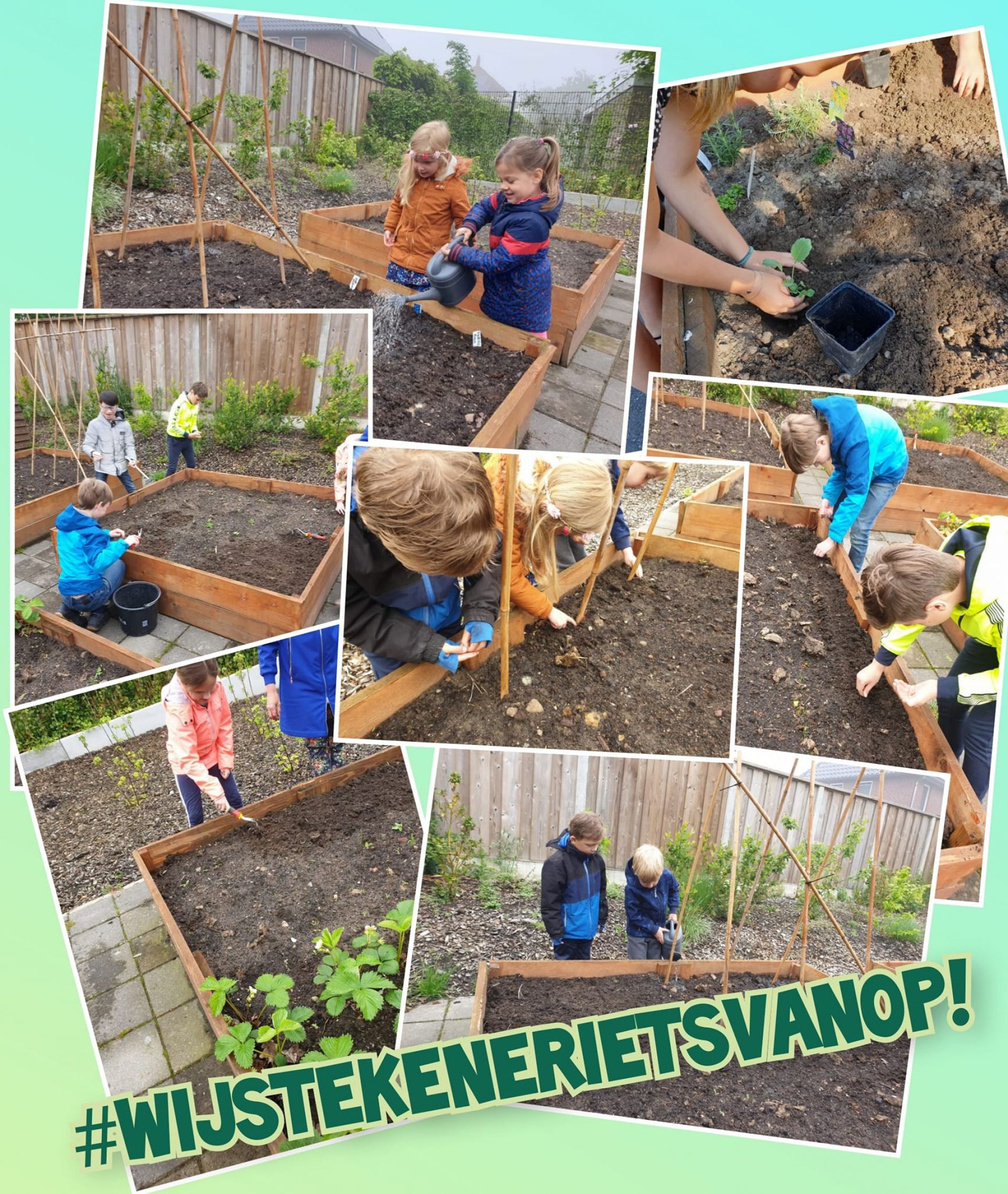 Moestuin basisscholieren IKC Magenta vernield