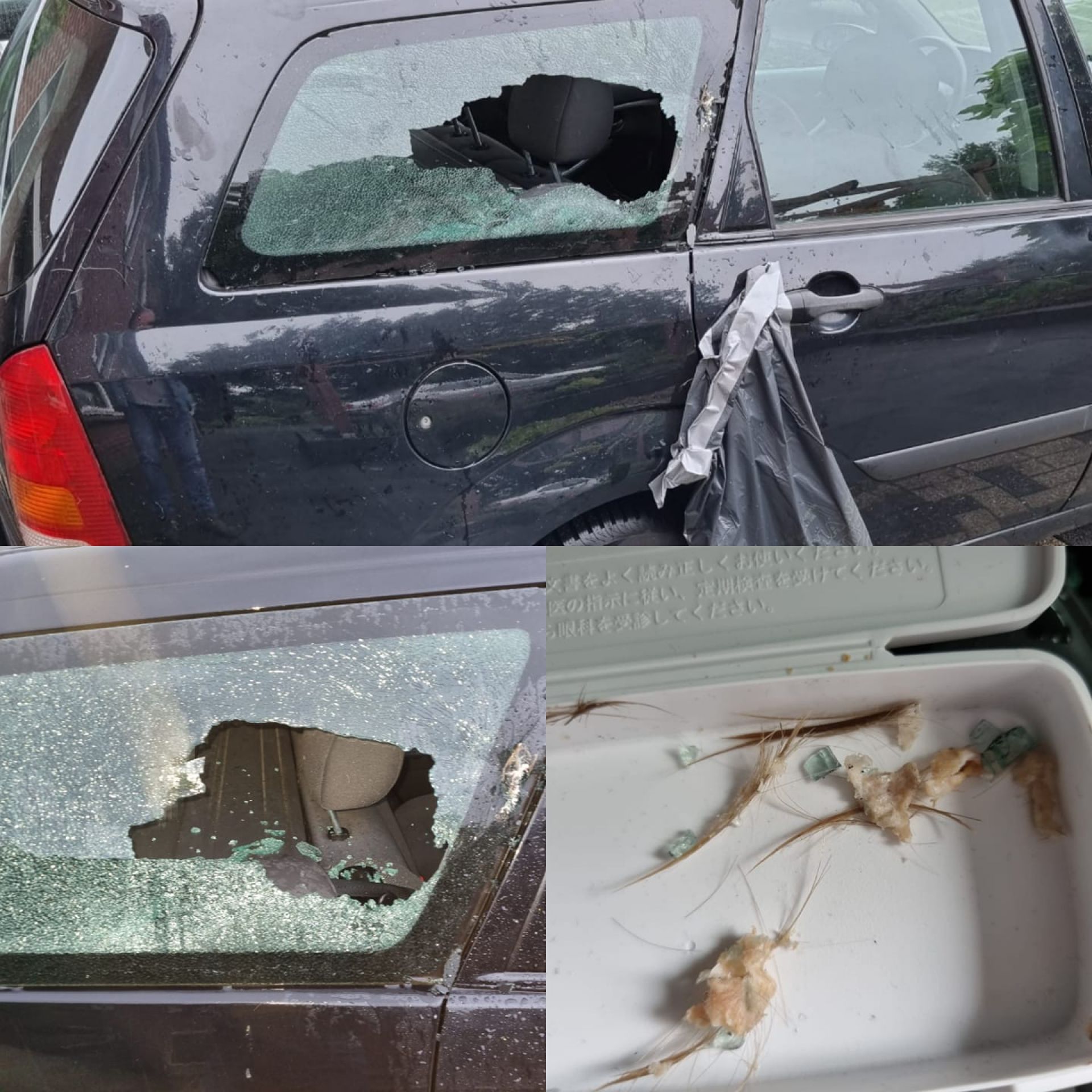 Autoruit sneuvelt aan Reigerstraat Delden &ndash; Huid en haar achtergelaten