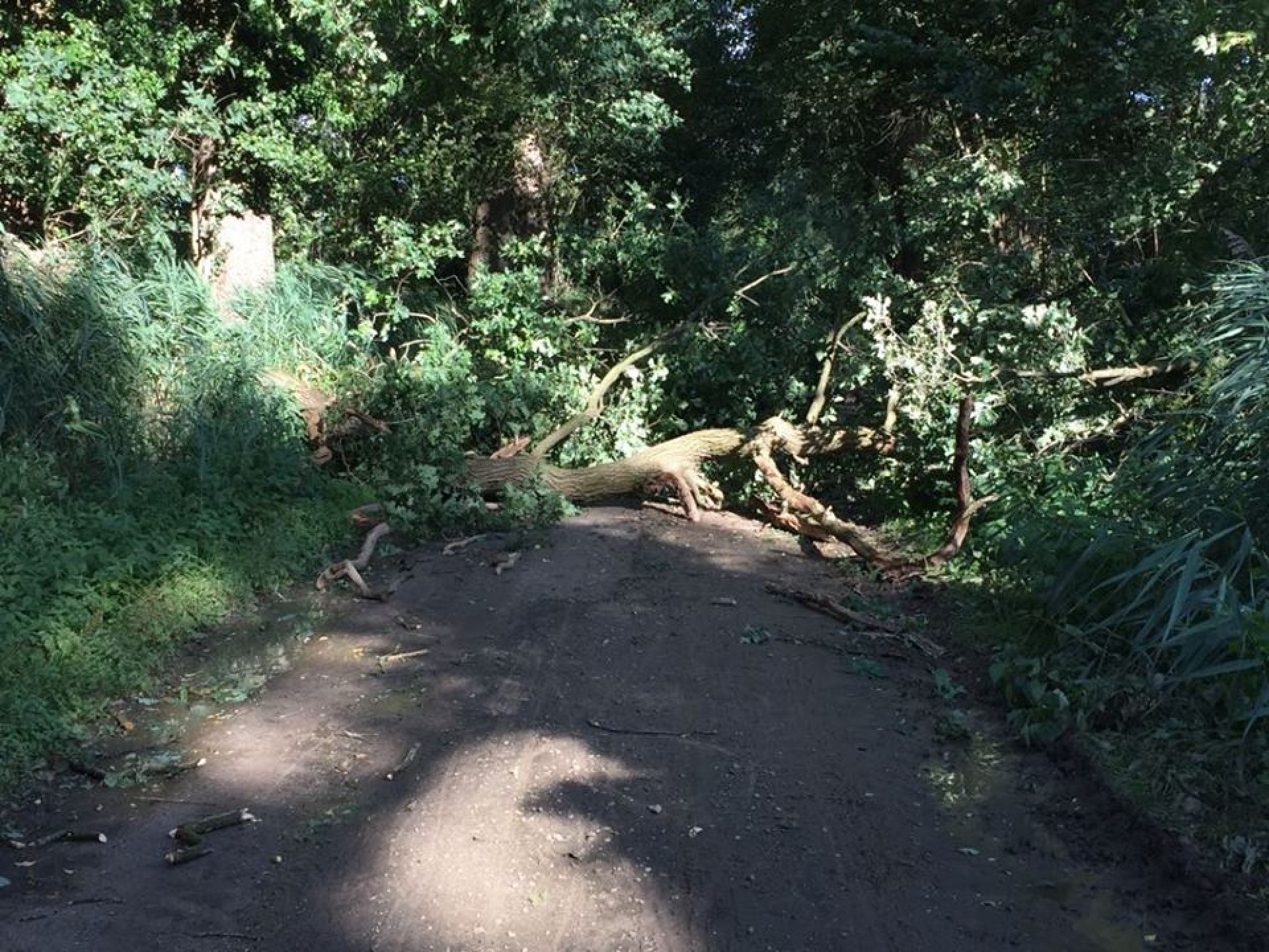 Ook storm Eunice zorgt voor problemen in en om Delden