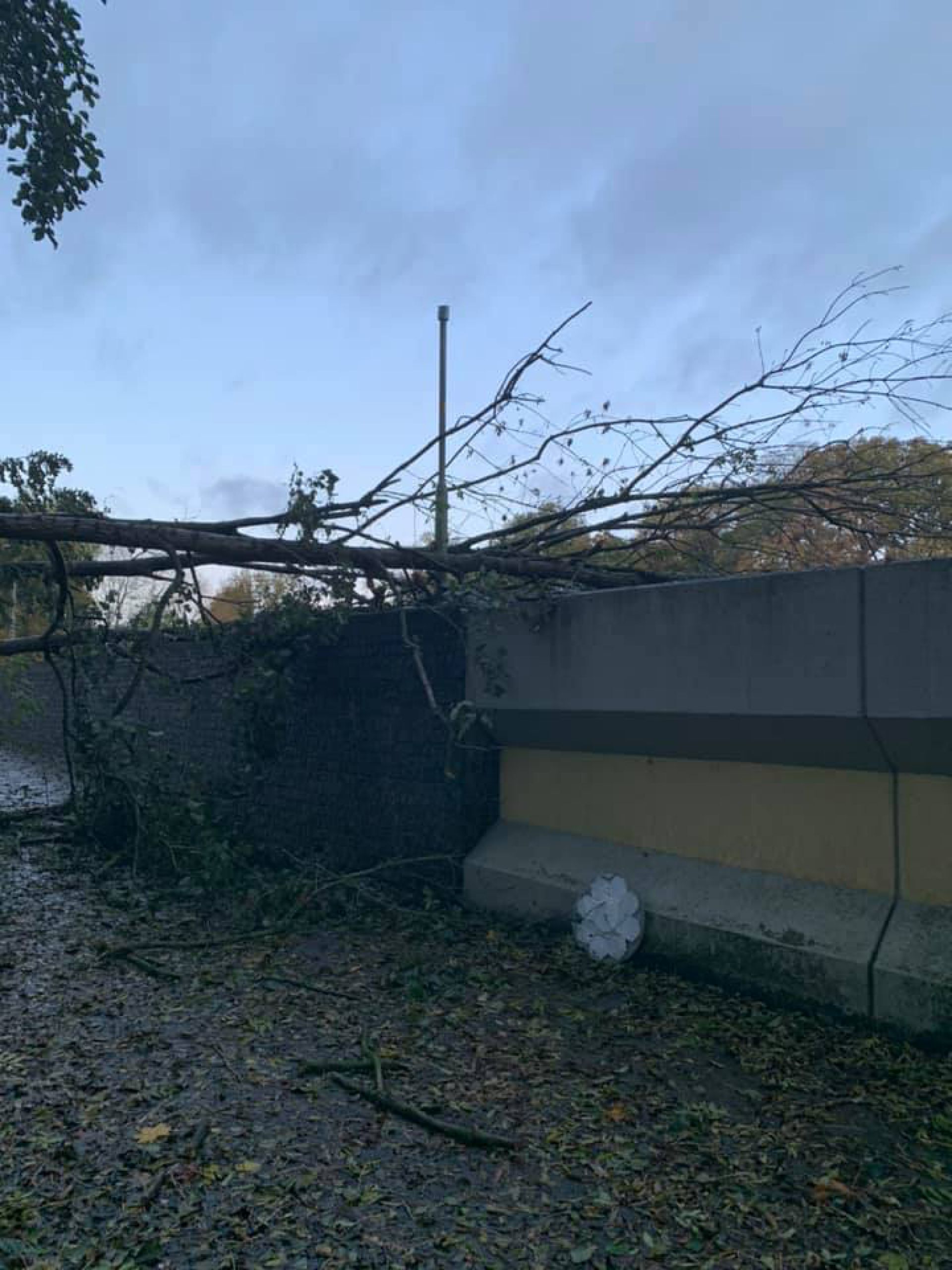 Stormschade bij Laartunneltje &ndash; Bomen blokkeren doorgang