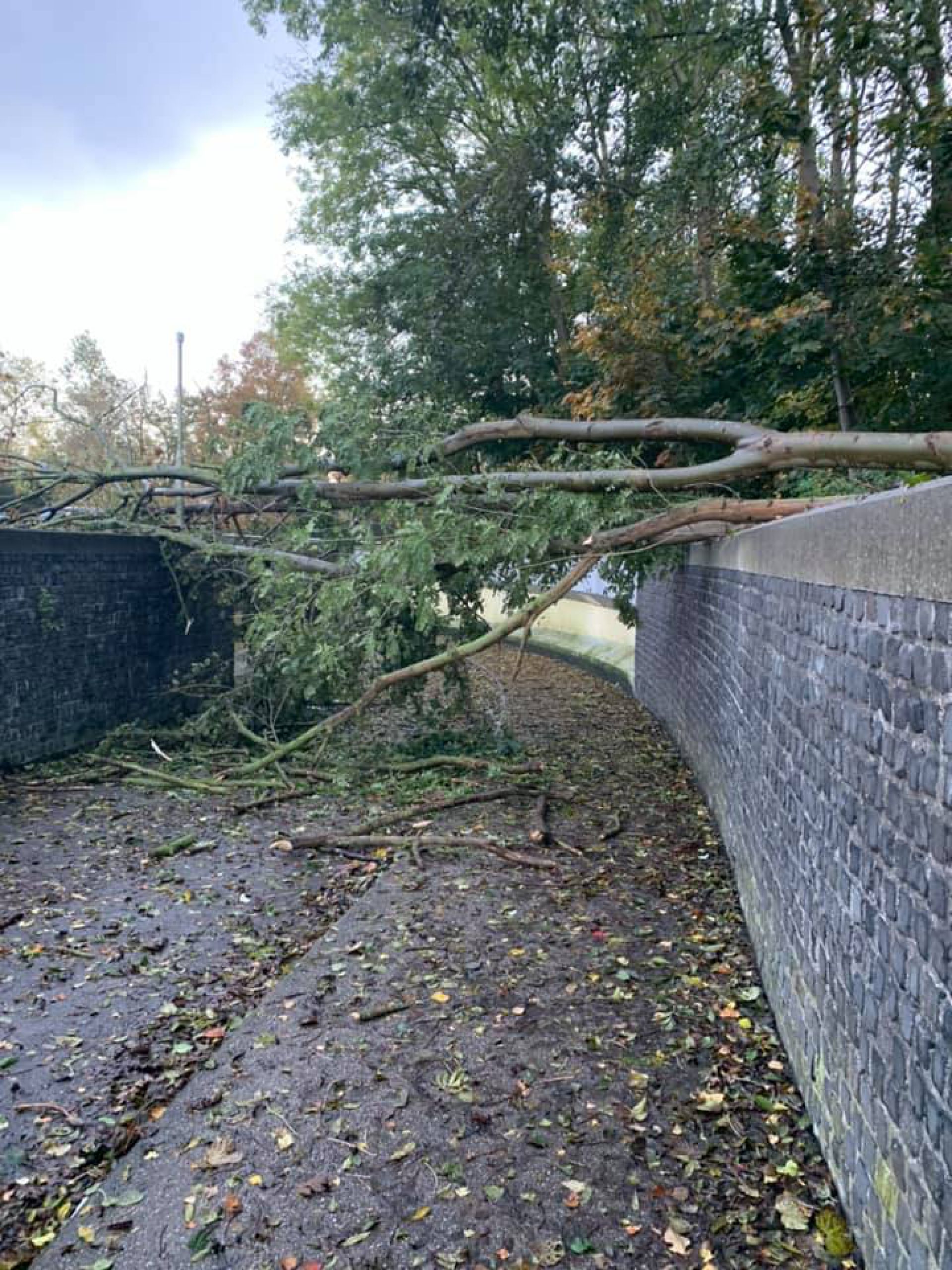 Stormschade bij Laartunneltje &ndash; Bomen blokkeren doorgang