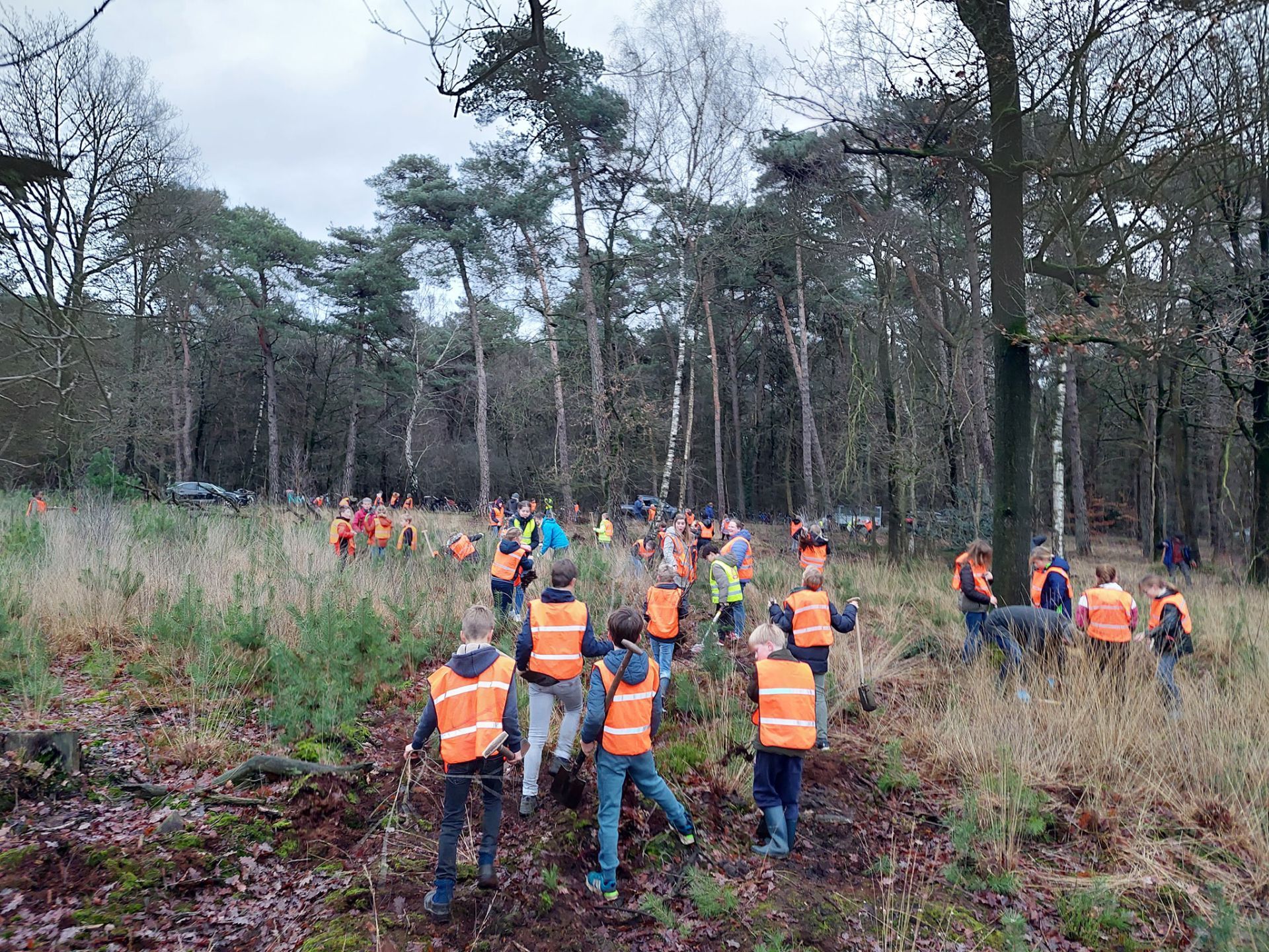 Scholieren IKC Magenta steken handen uit de mouwen bij boomplantdag op Twickel