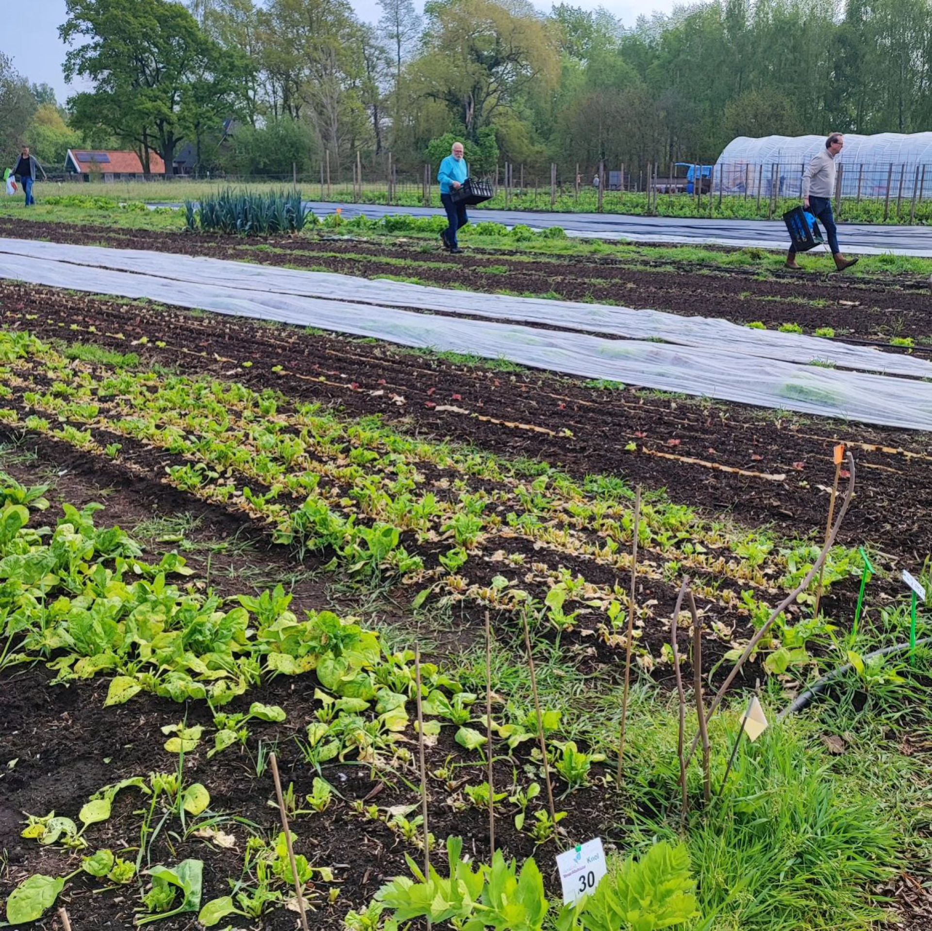 Open dag collectieve moestuin tussen Delden en Bentelo: &lsquo;Hebben al 81 leden&rsquo;