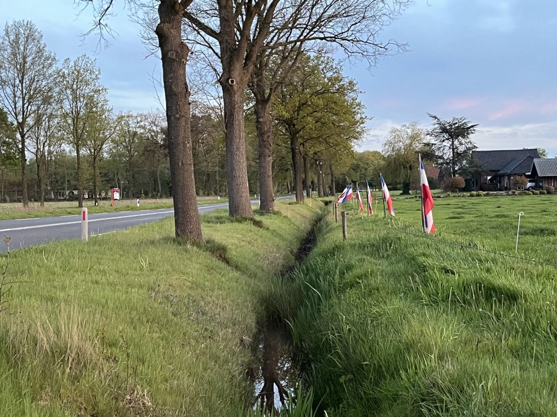 Oproep burgemeester om vlaggen rechtop te hangen maar deels opgevolgd