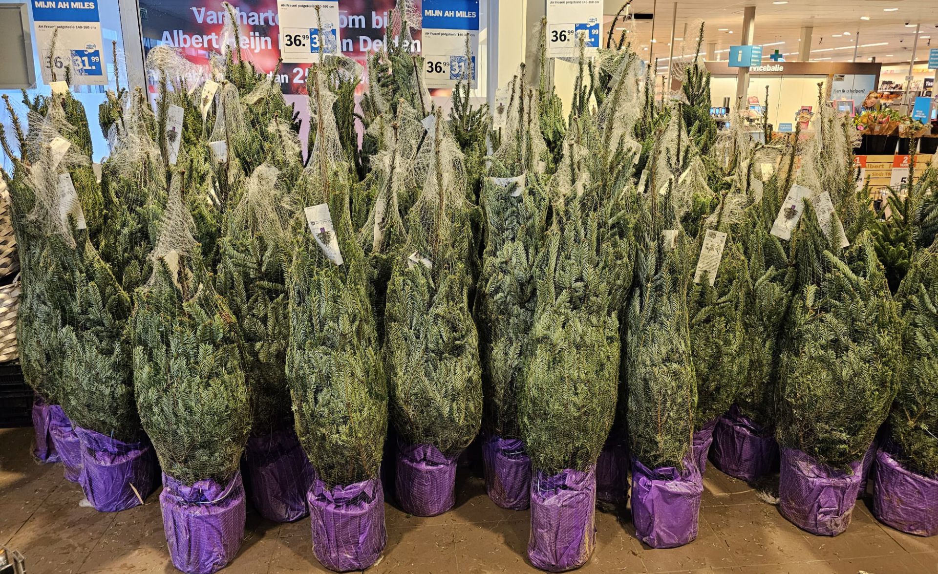 Kerstbomen te koop bij AH Bekman Delden