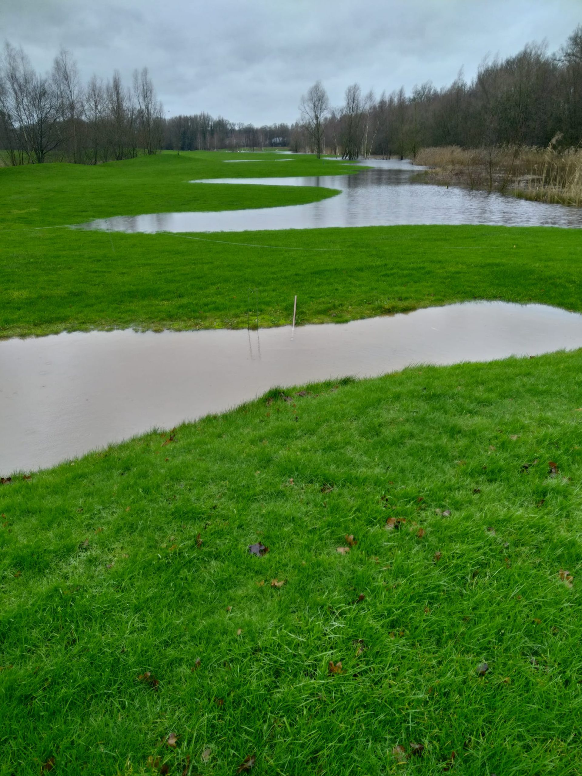 Wateroverlast Delden houdt aan: &lsquo;Zwemmen op de Lage Mors&rsquo;
