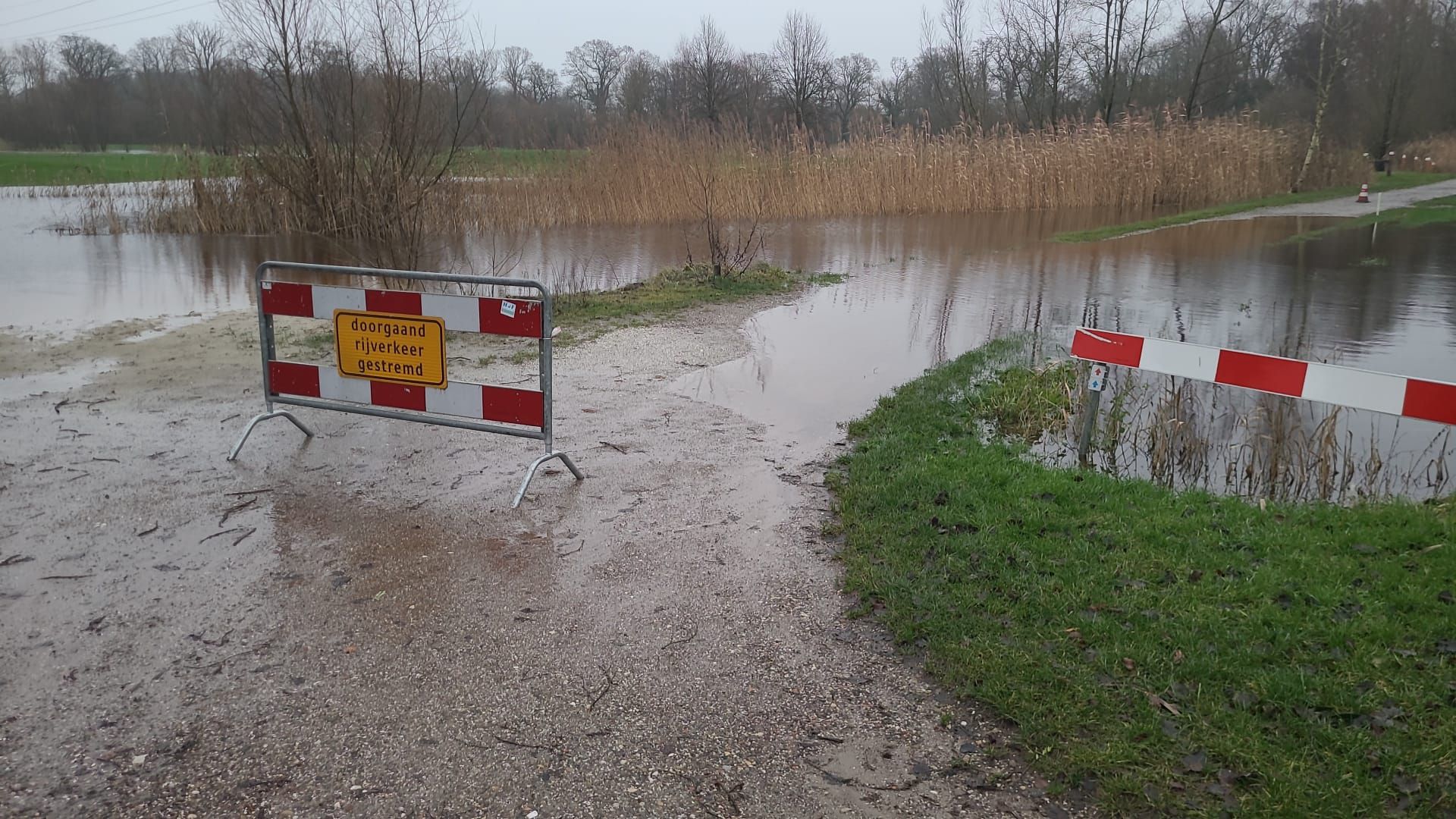 Wateroverlast Delden houdt aan: &lsquo;Zwemmen op de Lage Mors&rsquo;