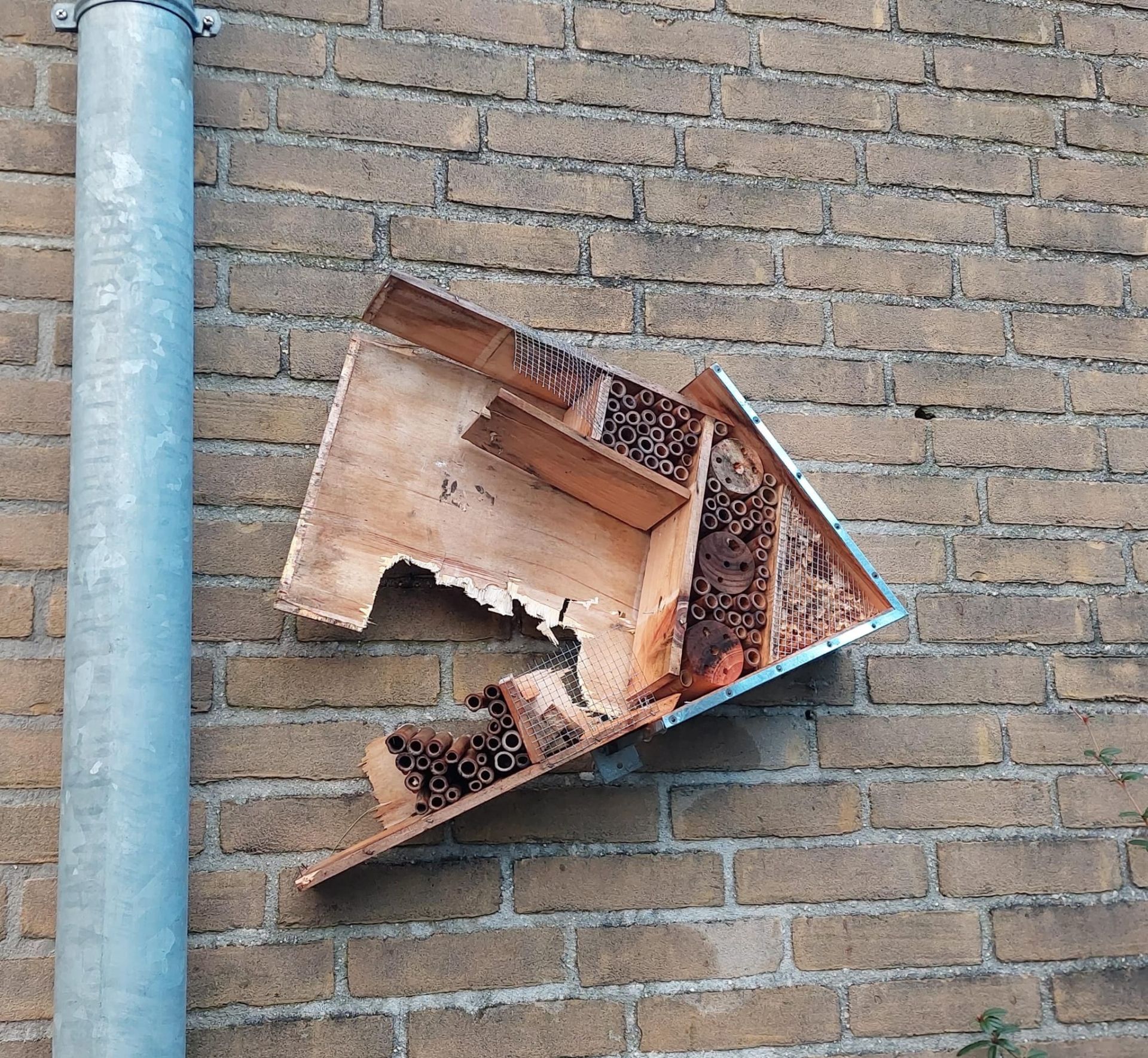 &lsquo;Geen vuurwerkschade in Delden&rsquo;: Ook totale bedrag gemeente valt mee