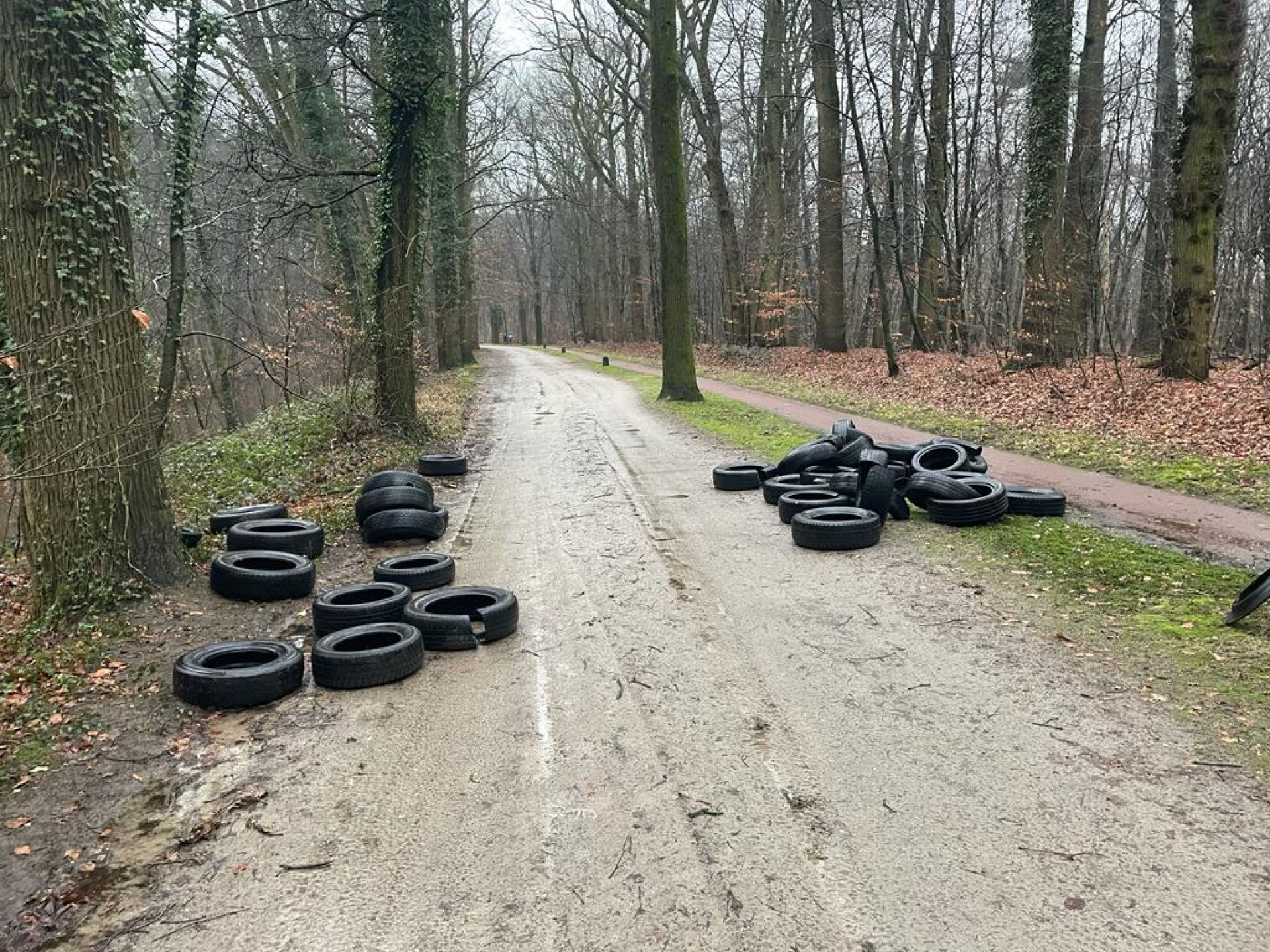 Grote hoeveelheid autobanden gedumpt aan Grote Looweg Ambt Delden