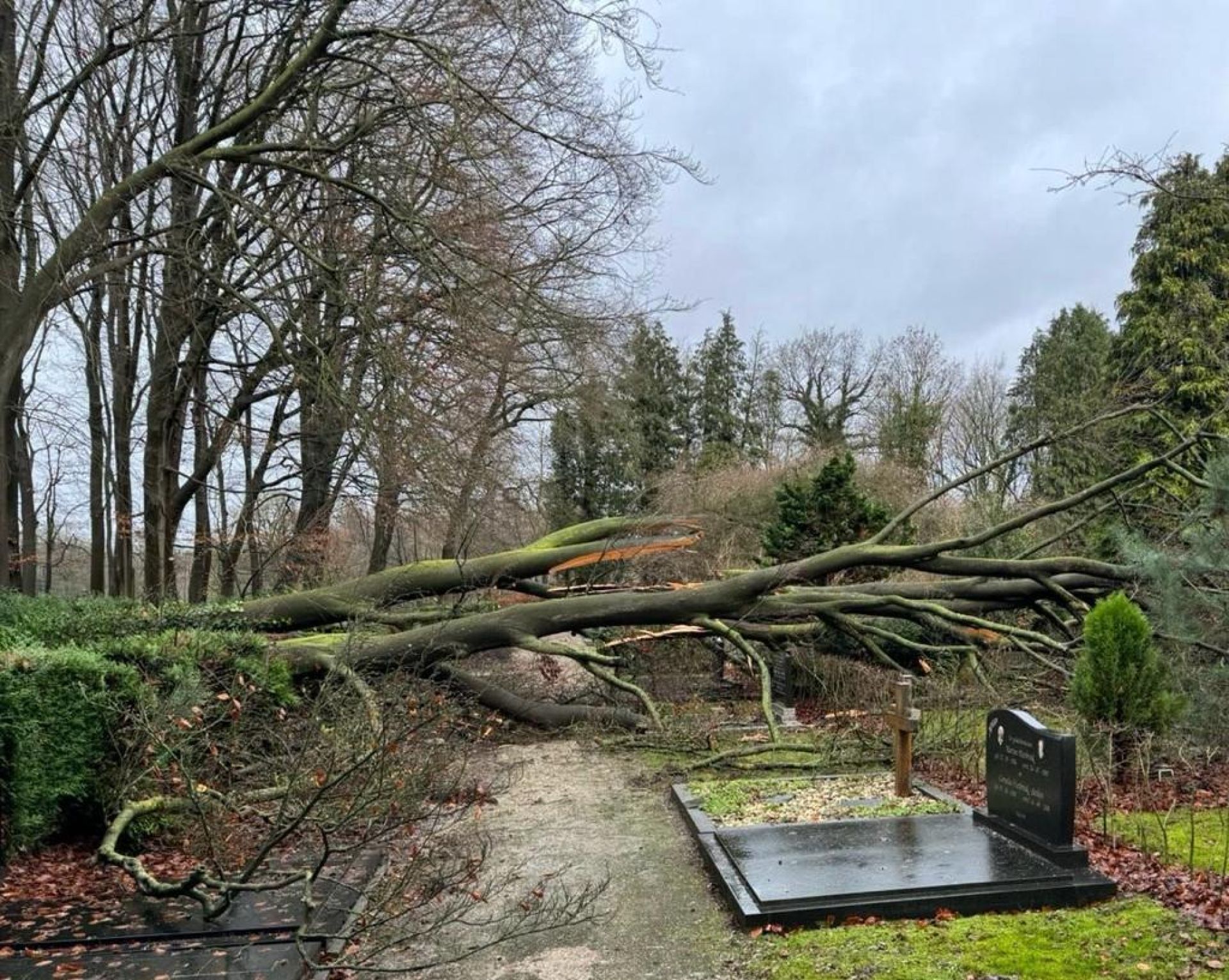 Omgevallen beuk veroorzaakt voor duizenden euro&rsquo;s schade aan grafstenen Deldense begraafplaats