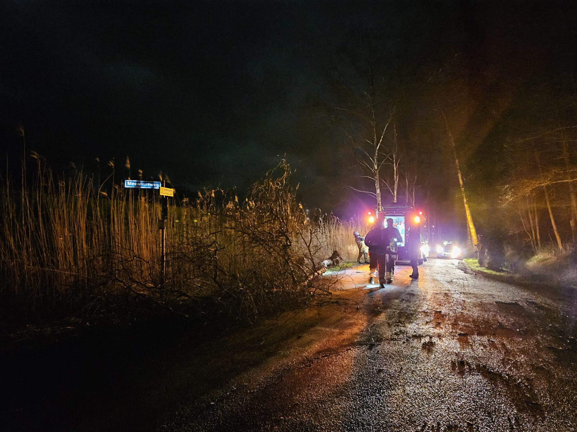 Storm Louis veroorzaakt weinig schade in Delden - Brandweer verwijdert boom
