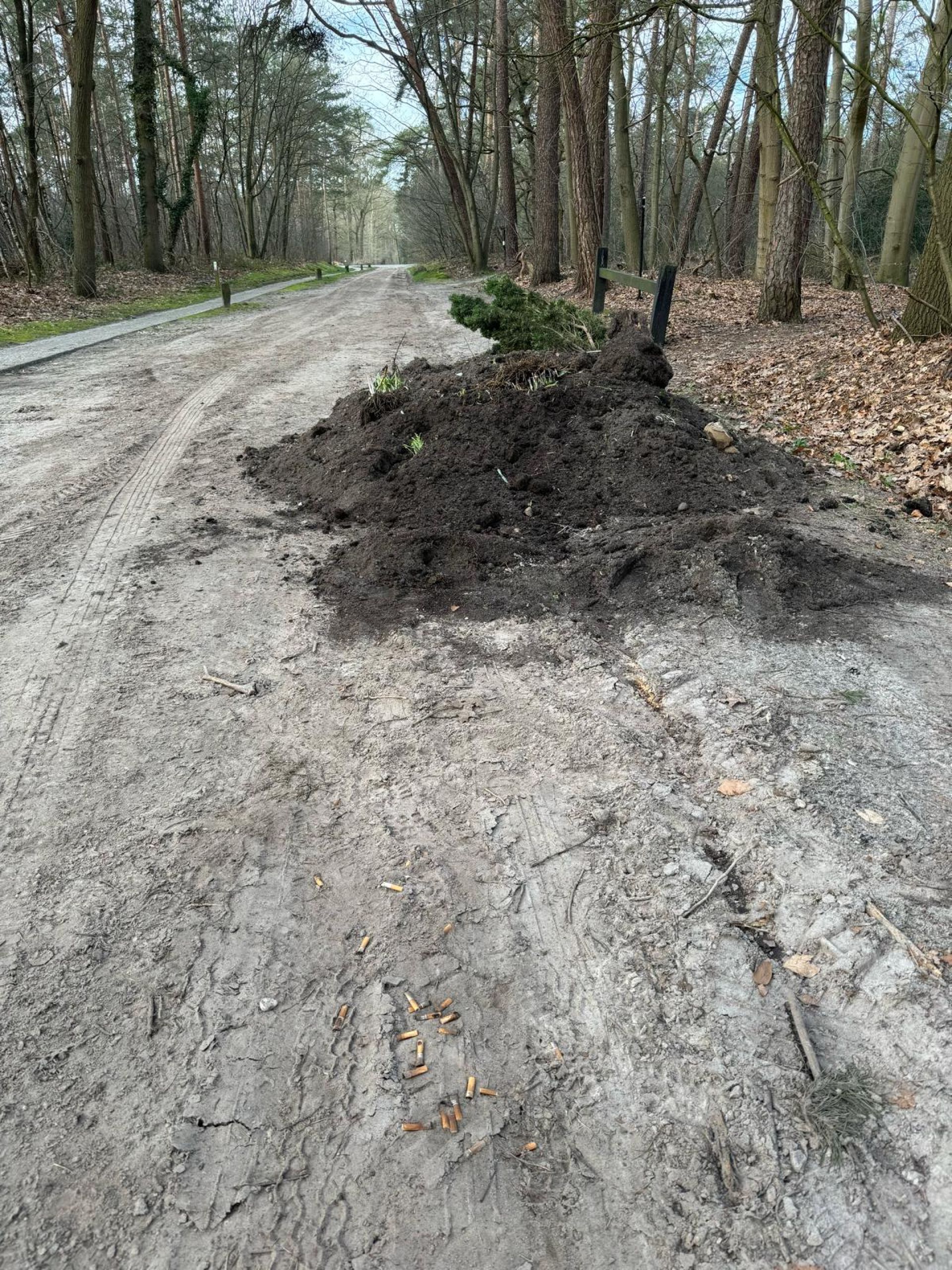Afvaldump aan Westerholtsweg net buiten Delden
