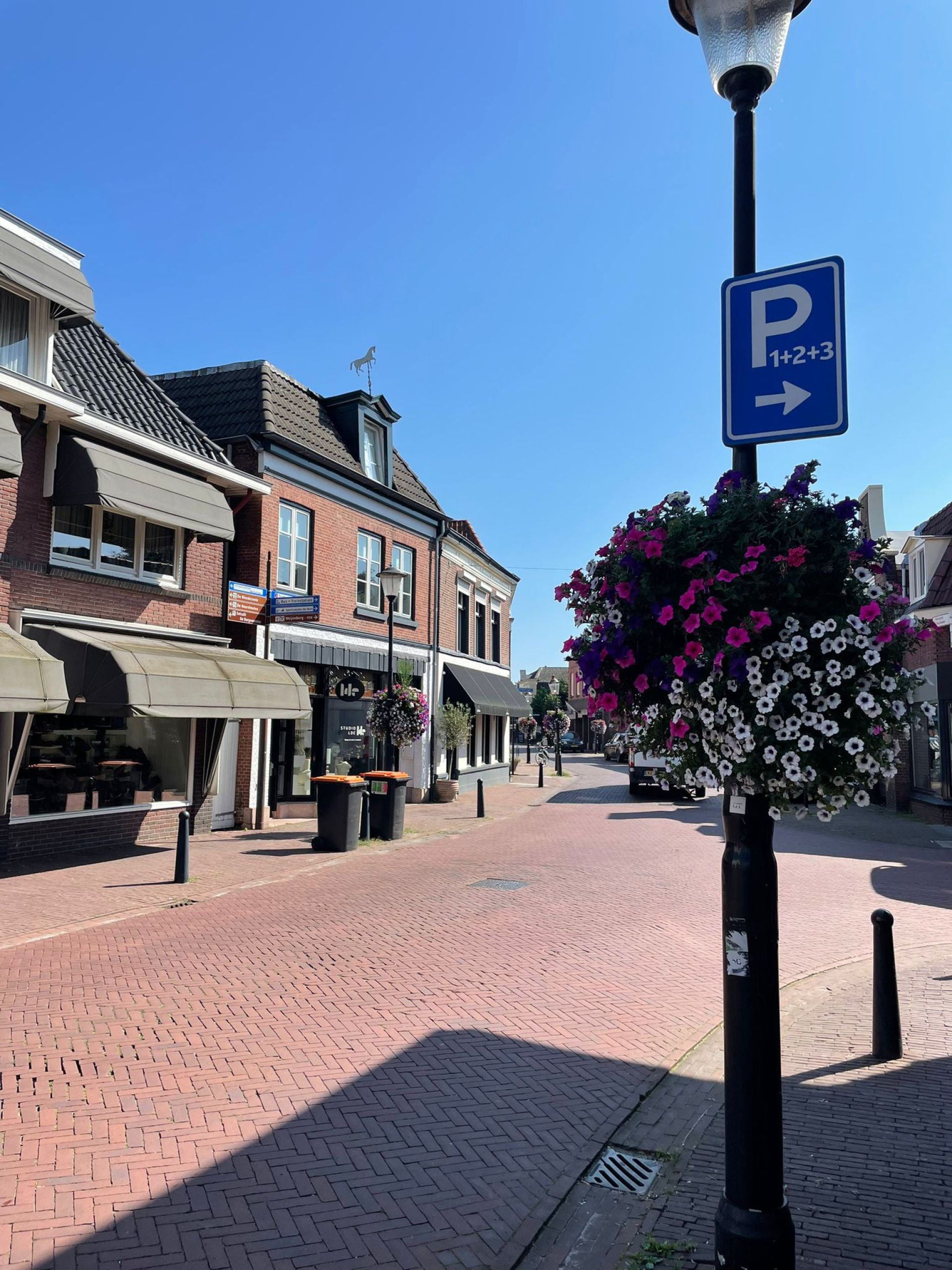 Centrum van Delden in bloei