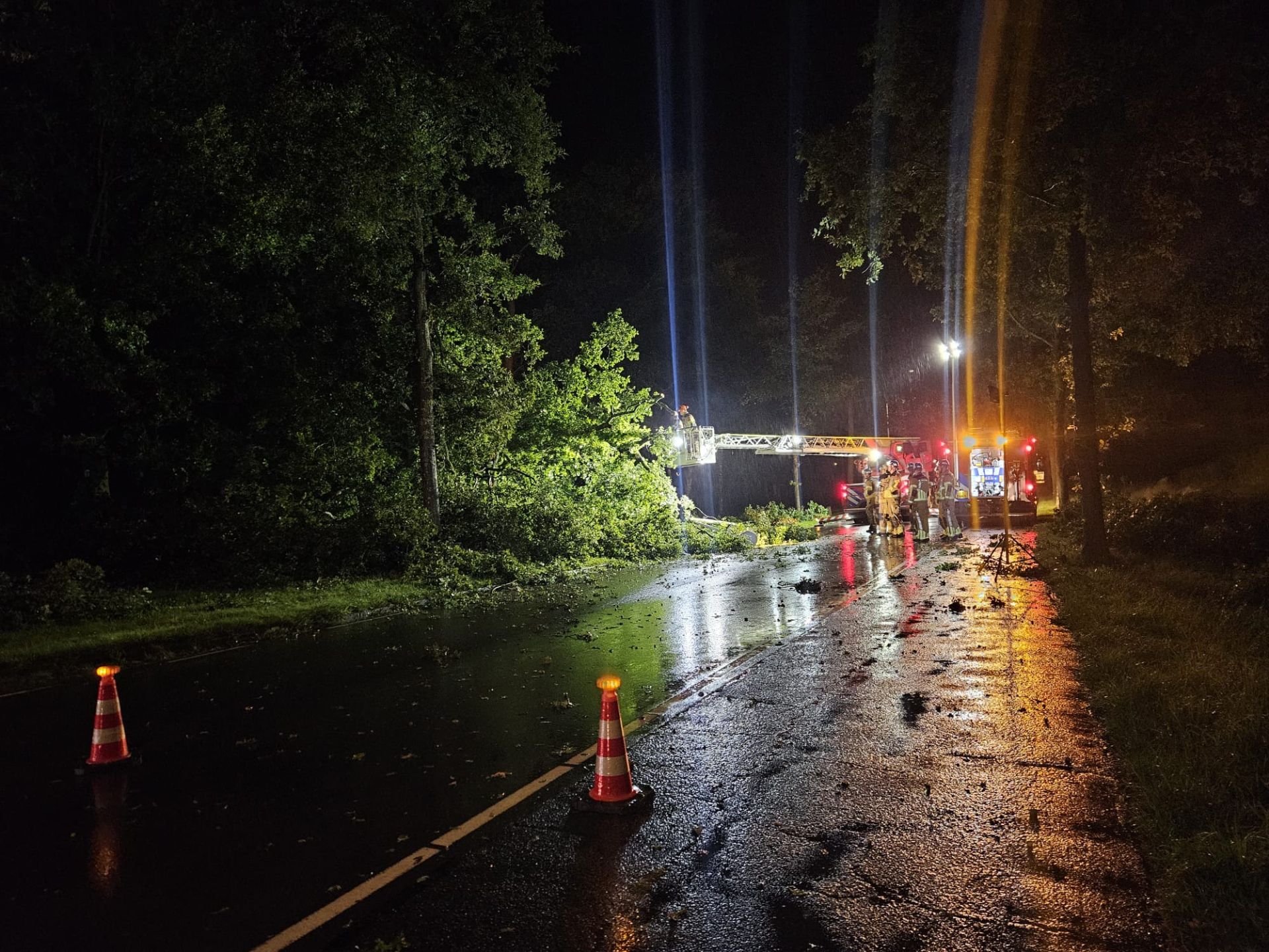 Grote boom waait om in Delden