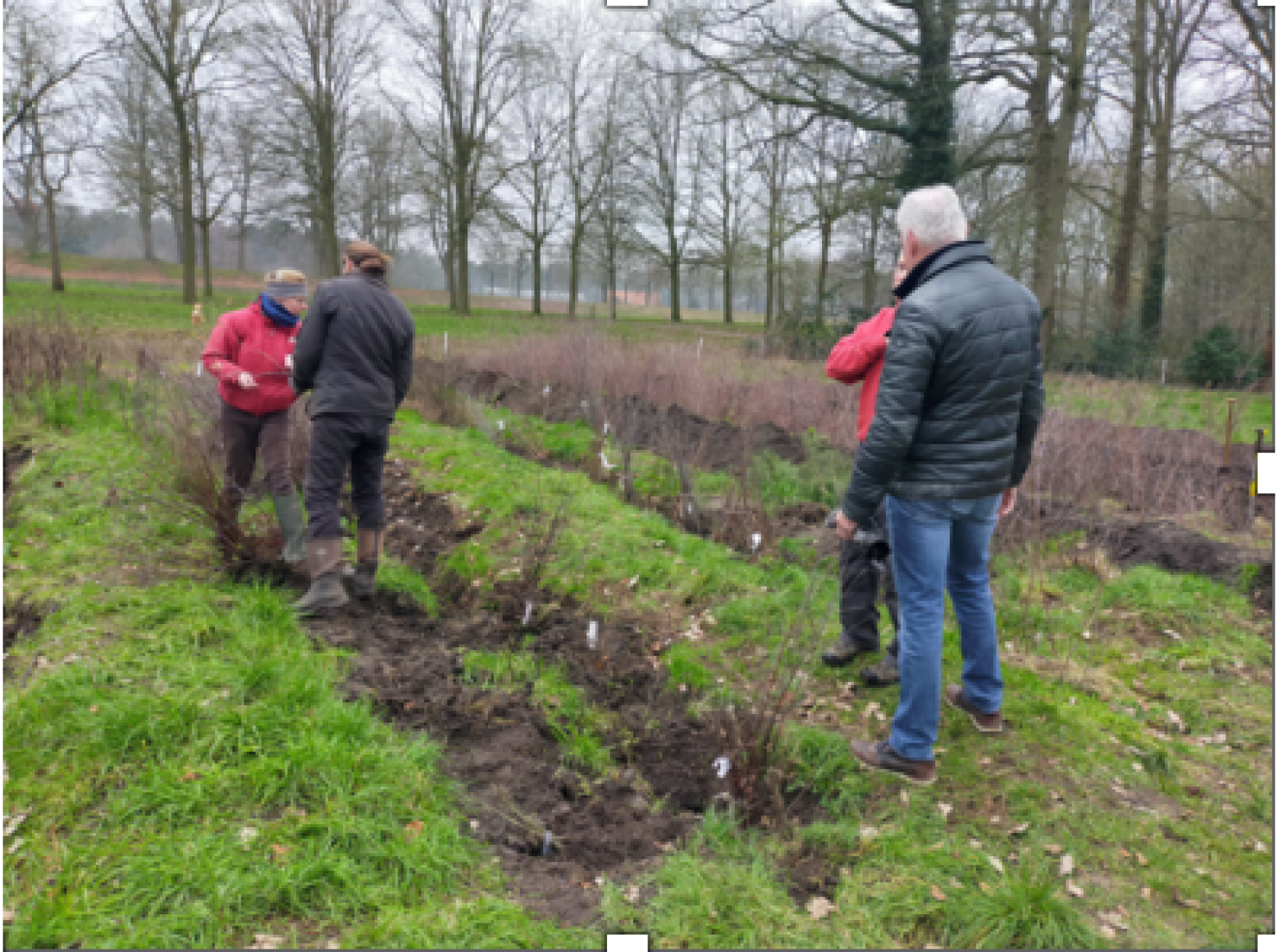 Wegens succes herhaald: Nog een ronde gratis bomen voor inwoners Delden