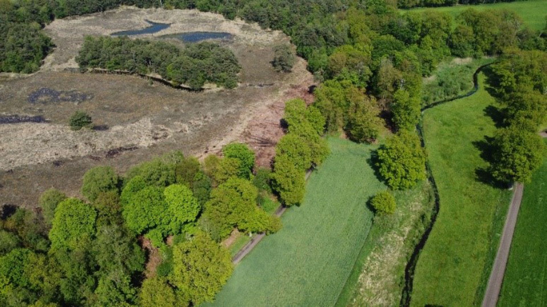 Heide verbinden op landgoed Twickel: &lsquo;Nu is de natuur aan zet&rsquo;