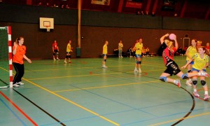 Nr10Scoort DHV
