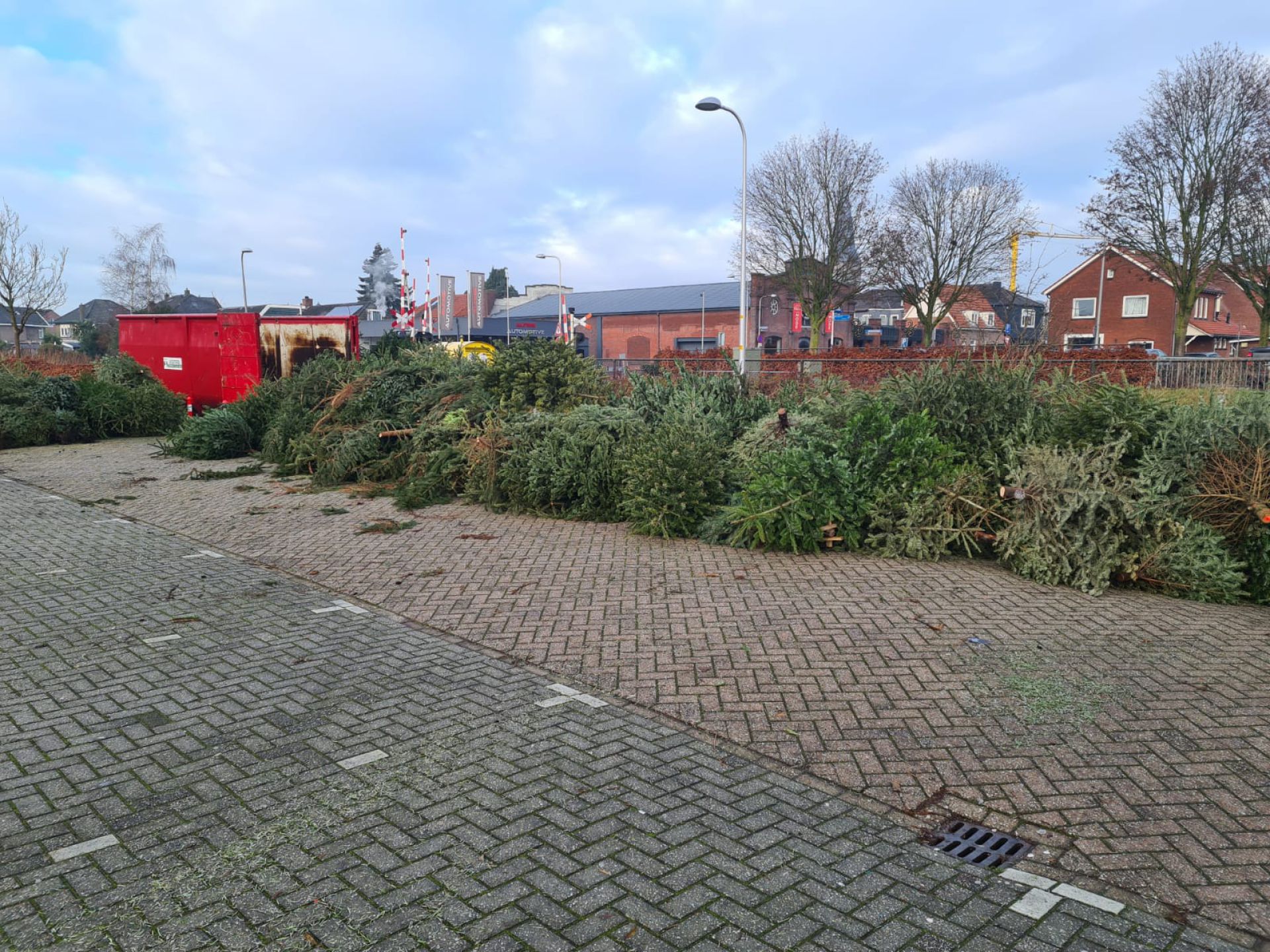 Deldense kerstbomen weer opgehaald door Bentelose jongeren