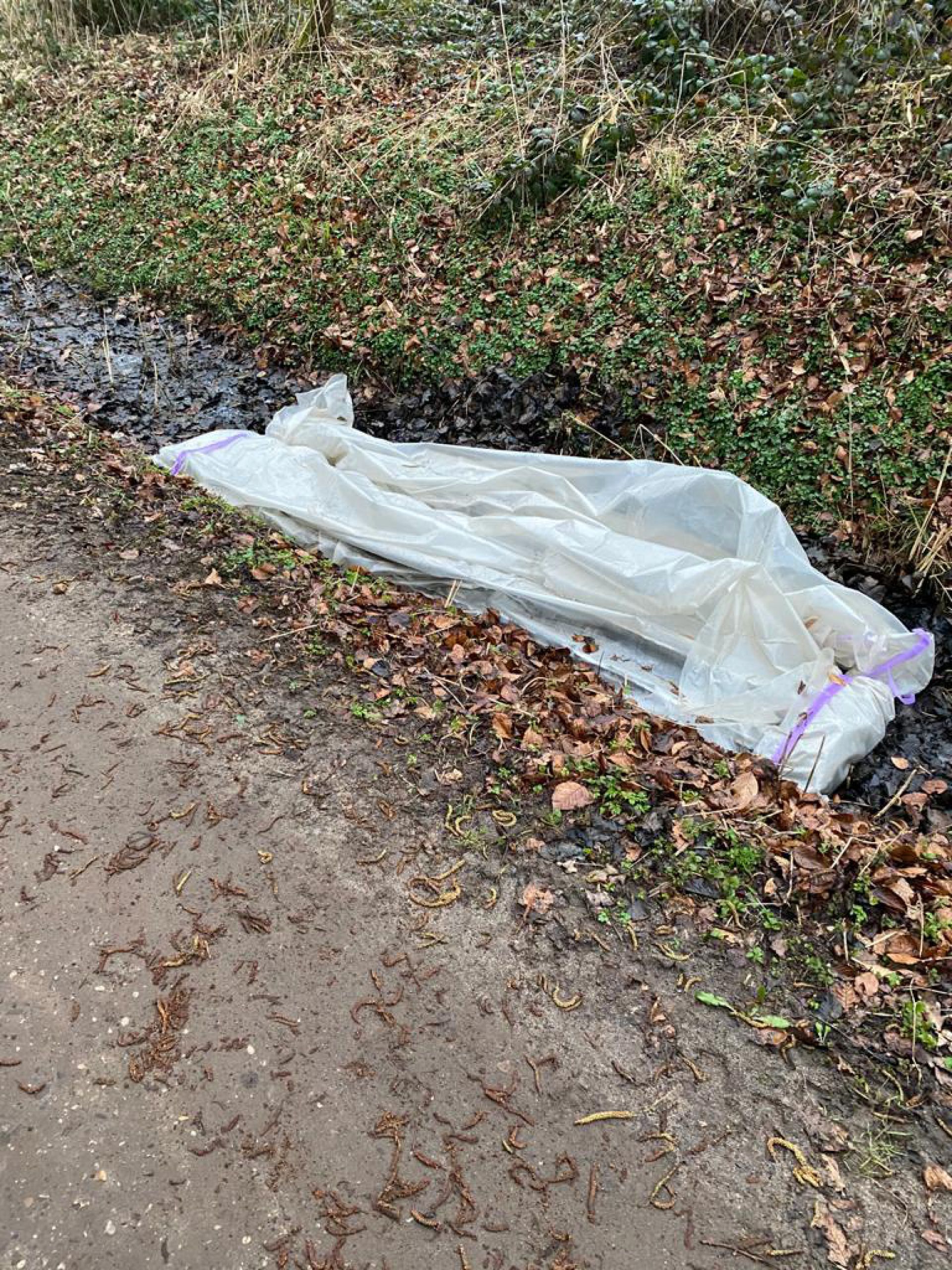 Asbestplaten gedumpt in sloot net buiten Delden