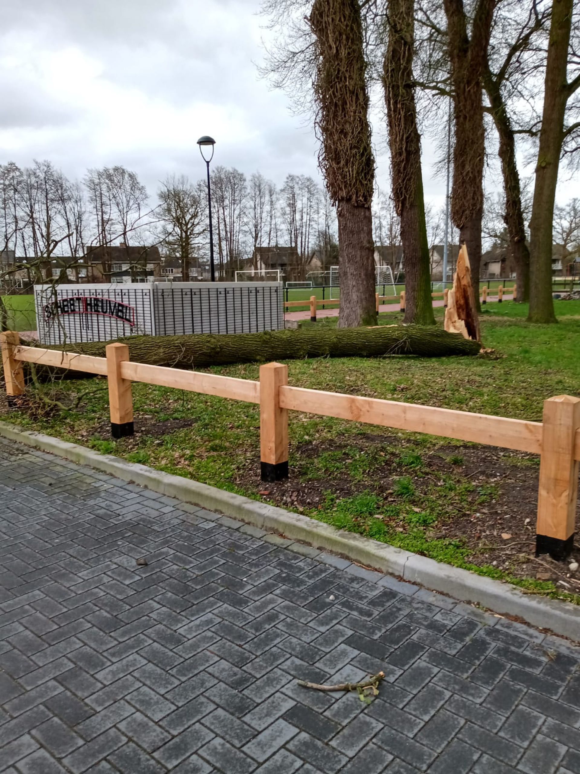 Update: Storm velt meerdere bomen bij voetbalvereniging Rood Zwart