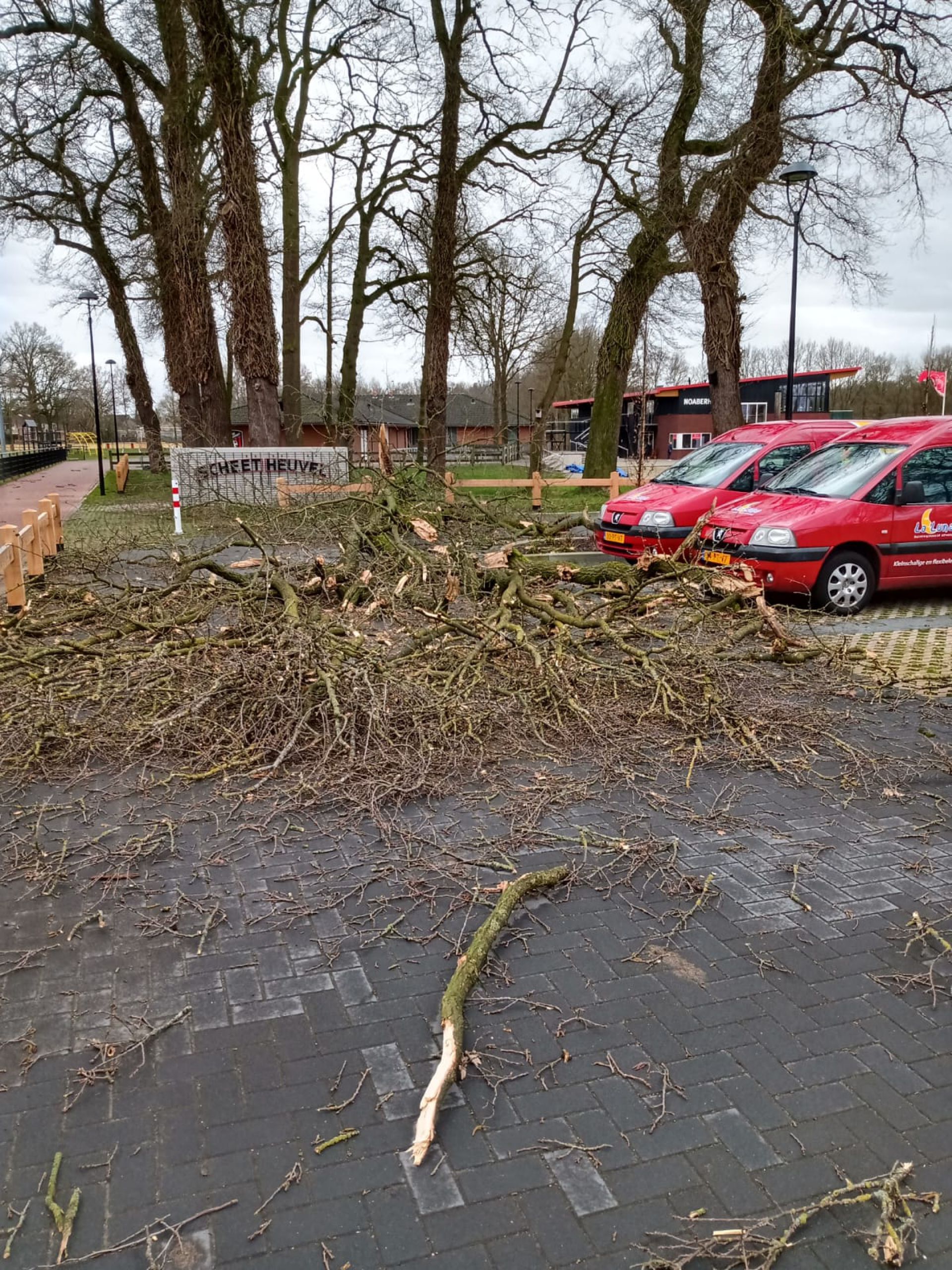 Update: Storm velt meerdere bomen bij voetbalvereniging Rood Zwart