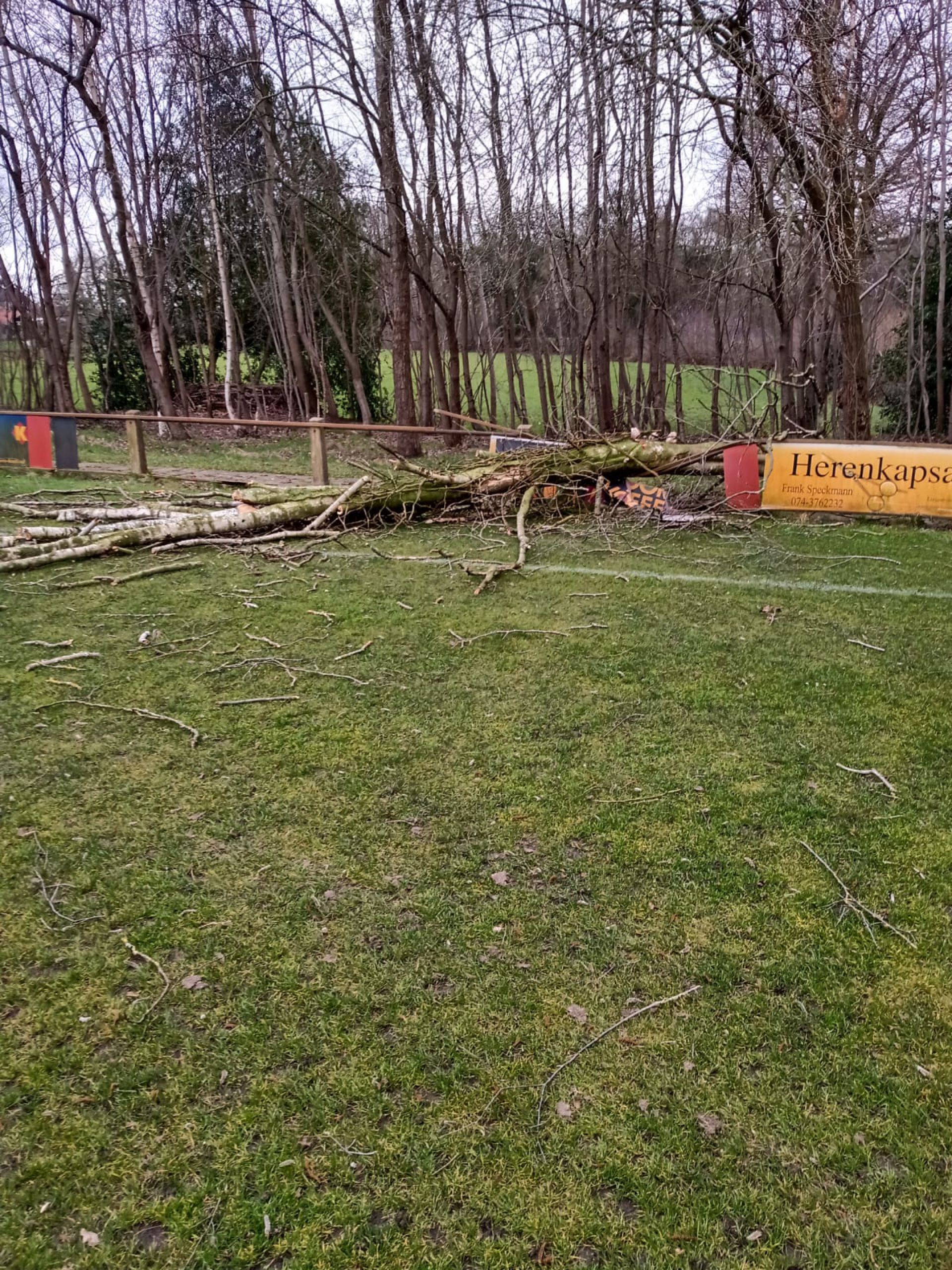 Update: Storm velt meerdere bomen bij voetbalvereniging Rood Zwart