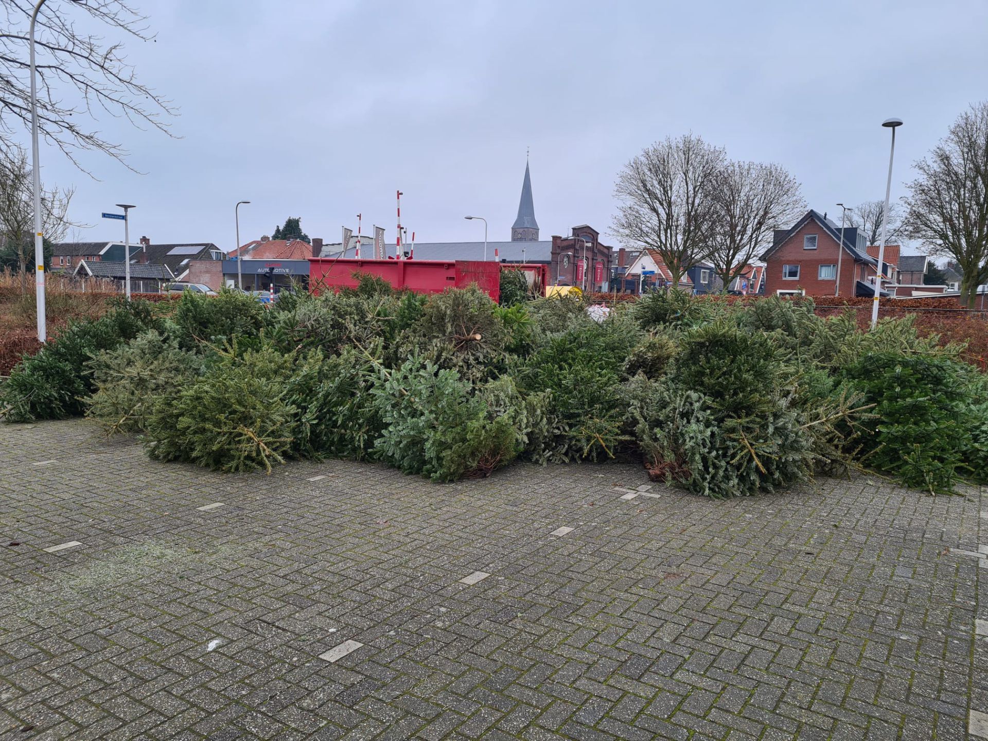 500 Deldense kerstbomen belangeloos opgehaald door Bentelose jongeren