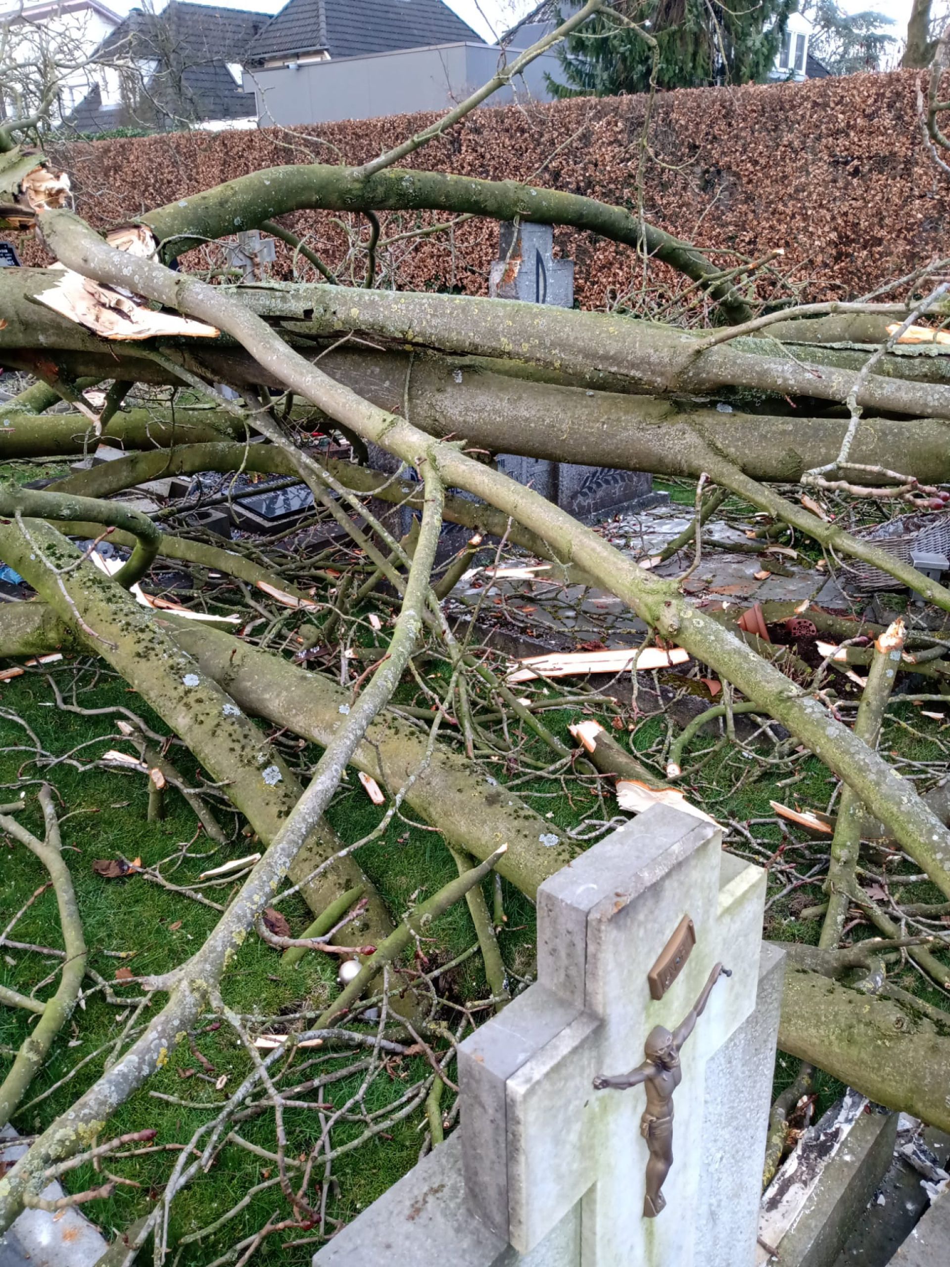 Omgewaaide boom beschadigt grafstenen op begraafplaats Delden