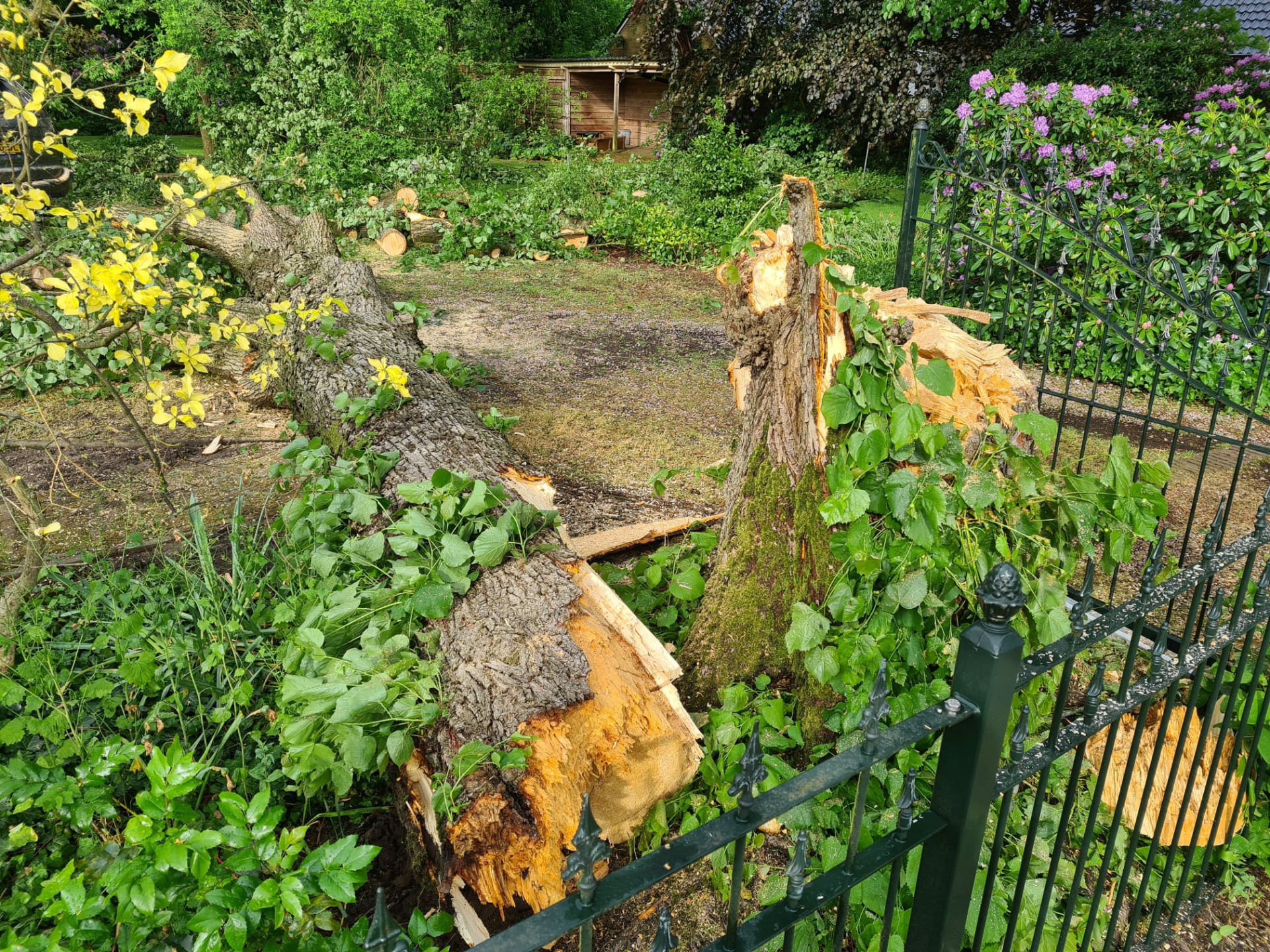 Stormschade op verschillende plekken &ndash; Boom valt op auto aan Villapark