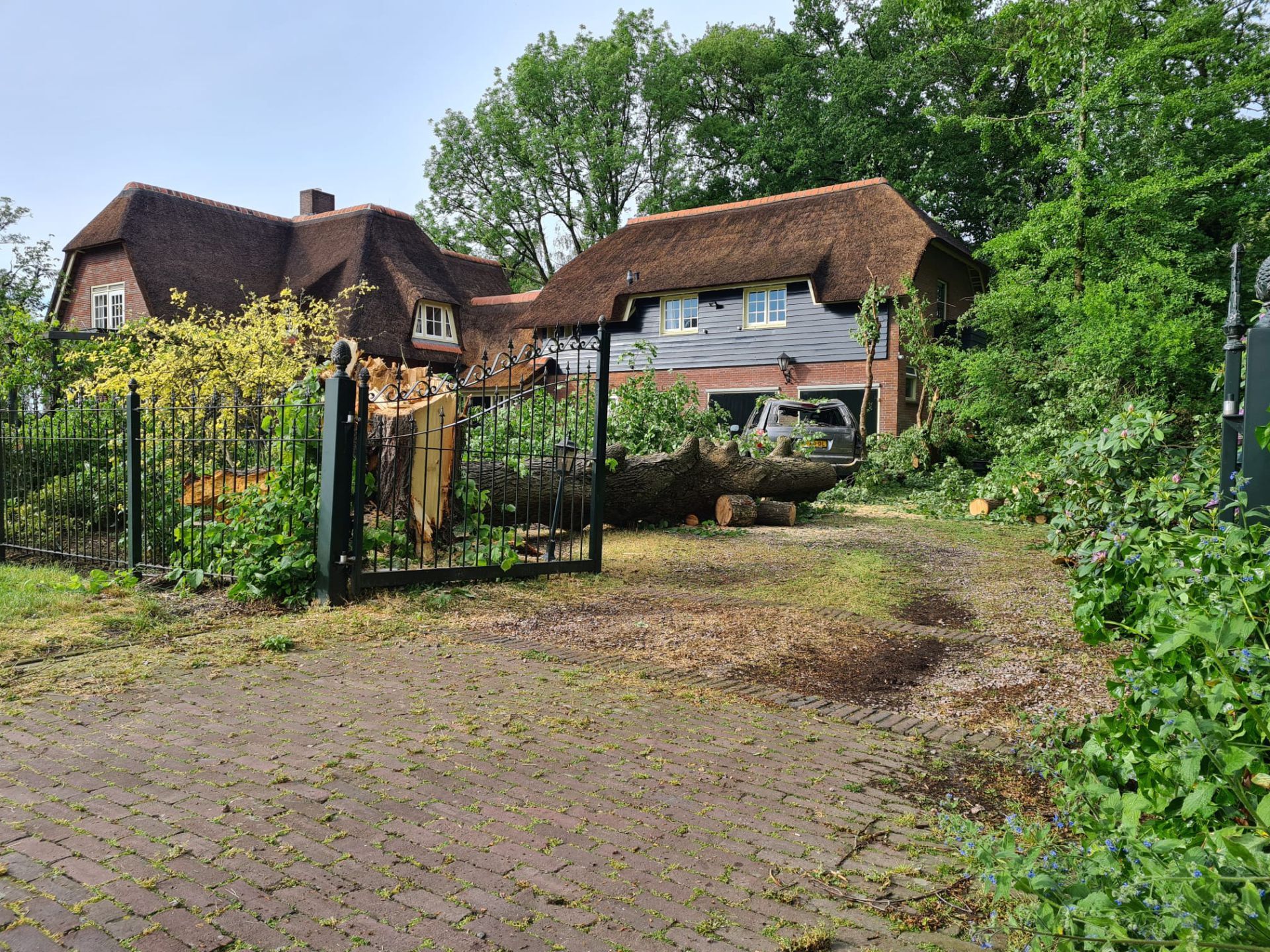 Stormschade op verschillende plekken &ndash; Boom valt op auto aan Villapark