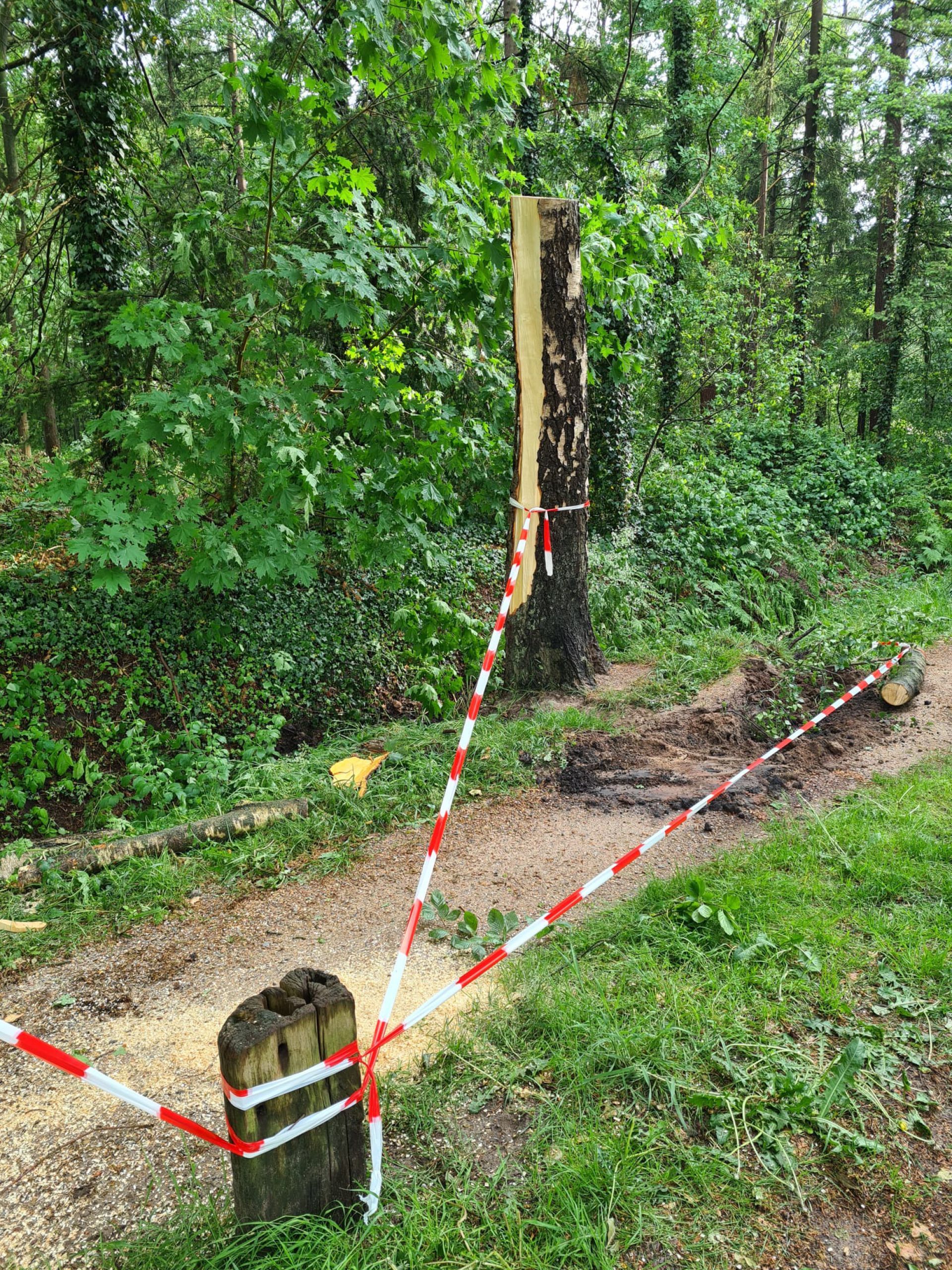 Stormschade op verschillende plekken &ndash; Boom valt op auto aan Villapark
