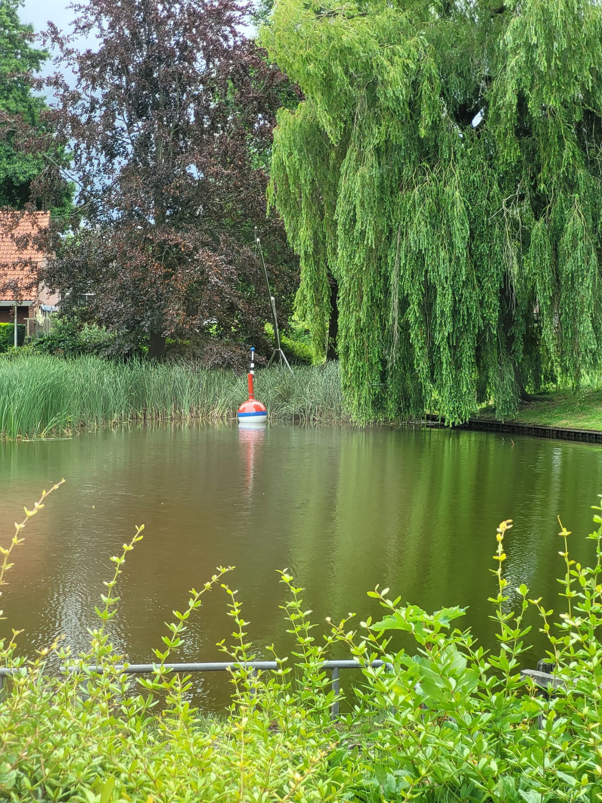 &lsquo;Vergeten dobber&rsquo; teruggeplaatst in Polvijver Delden