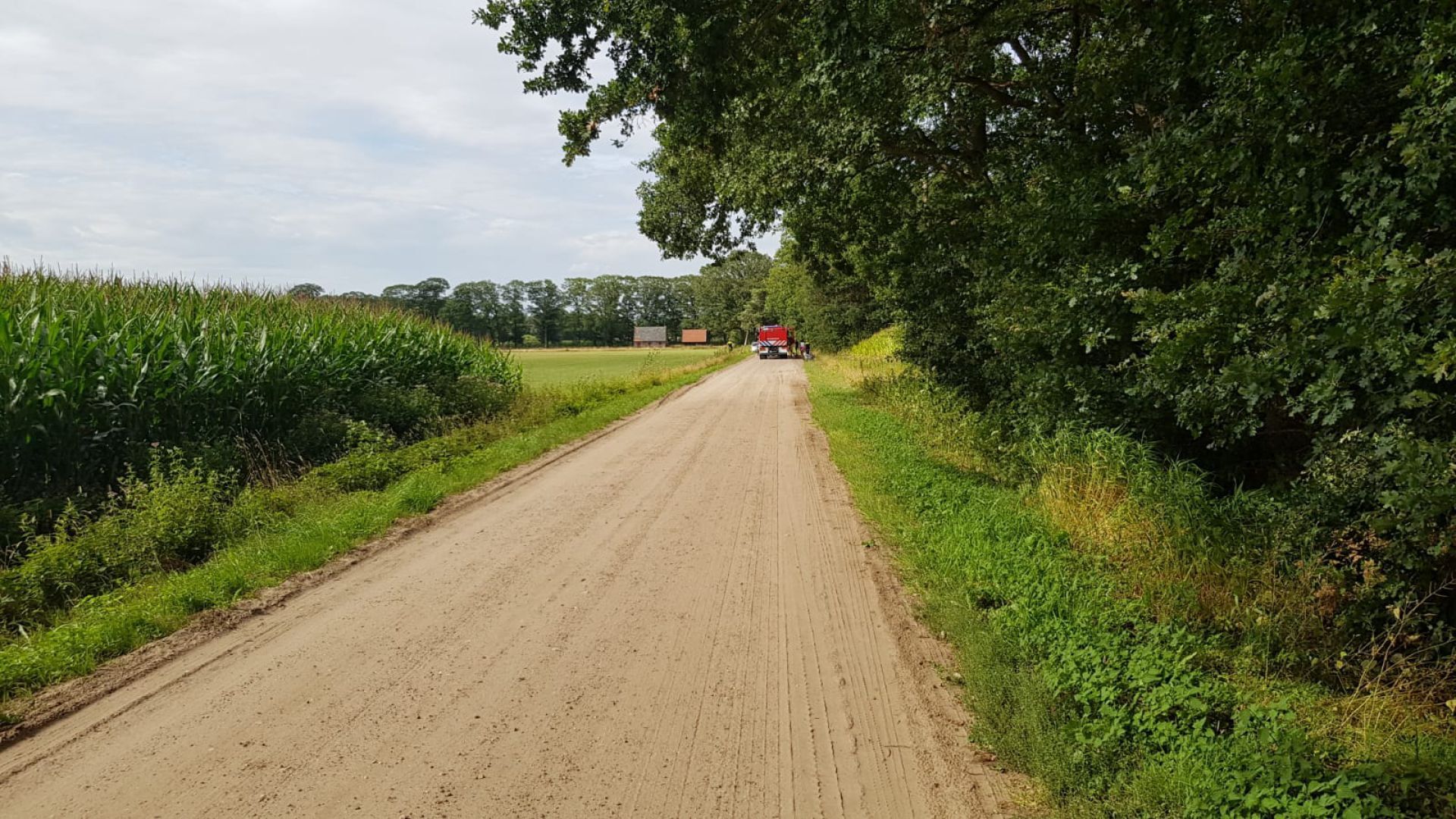 Brandweer rukt met meerdere wagens uit en heeft bosbrand bij Delden snel onder controle 