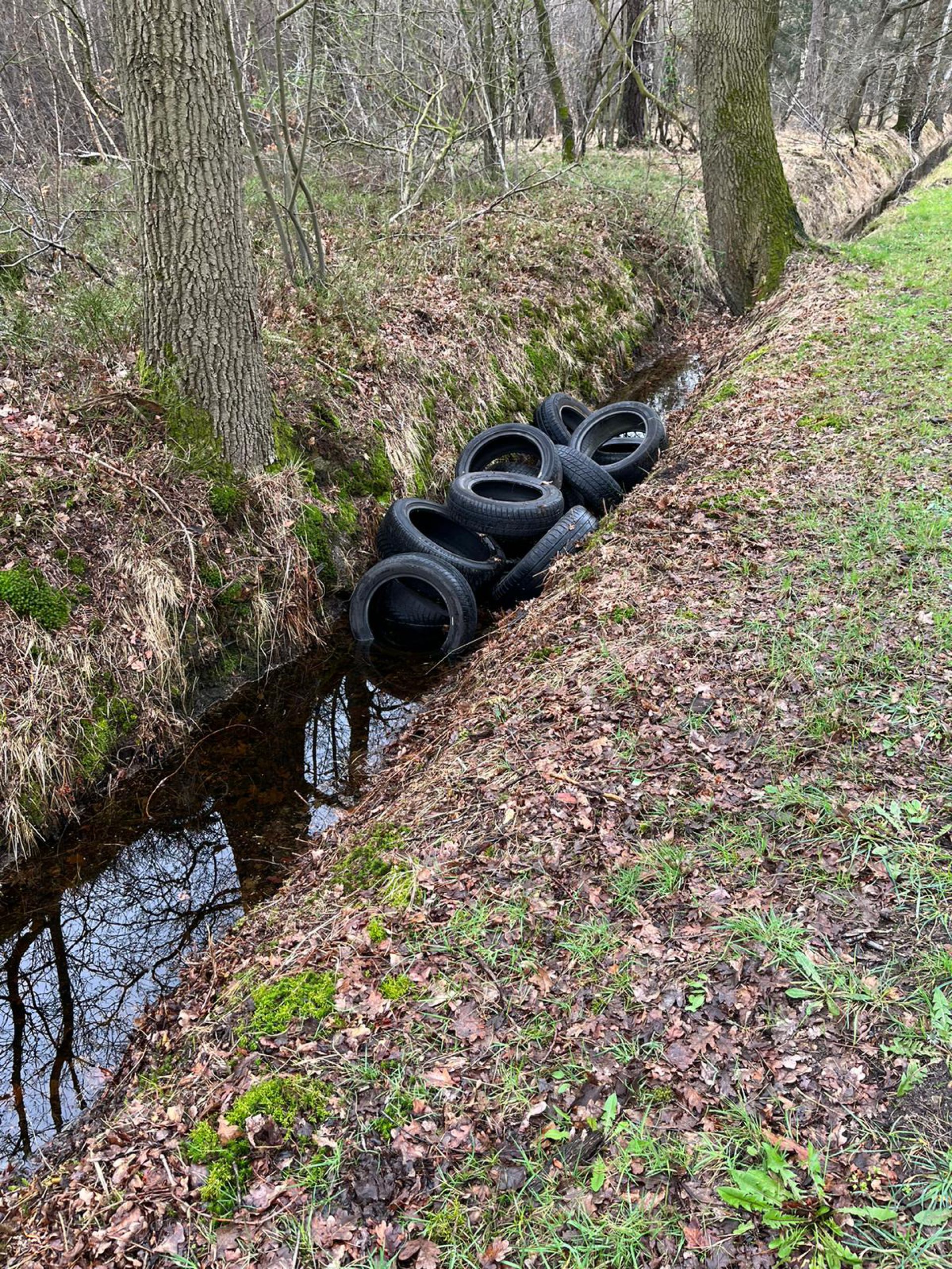 Bandendump aan Flierveldsweg tussen Delden en Beckum 