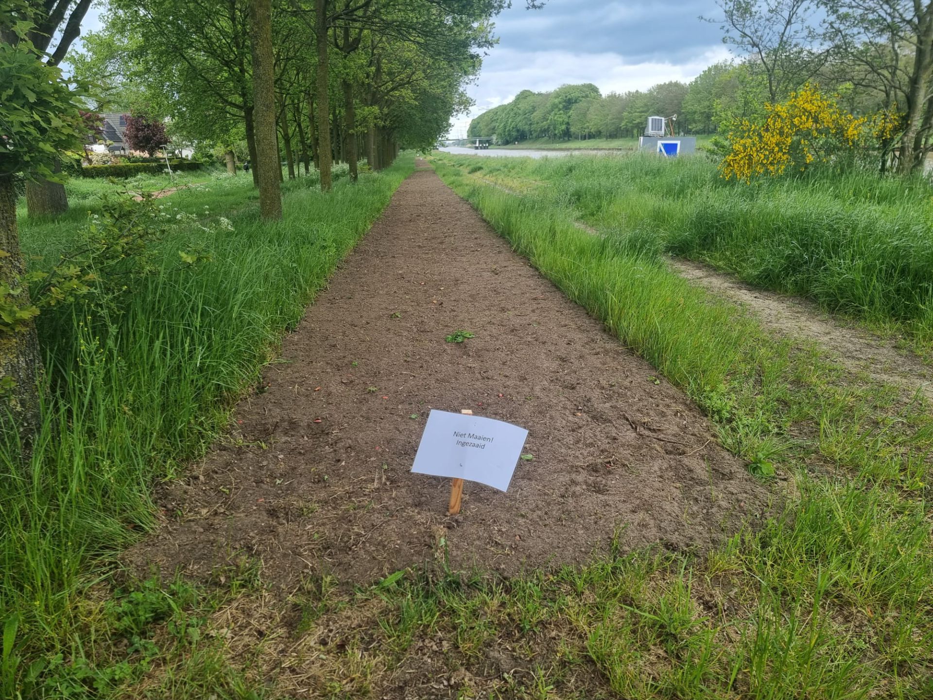 Bloemenoase tussen Deldense bruggen aan Twentekanaal