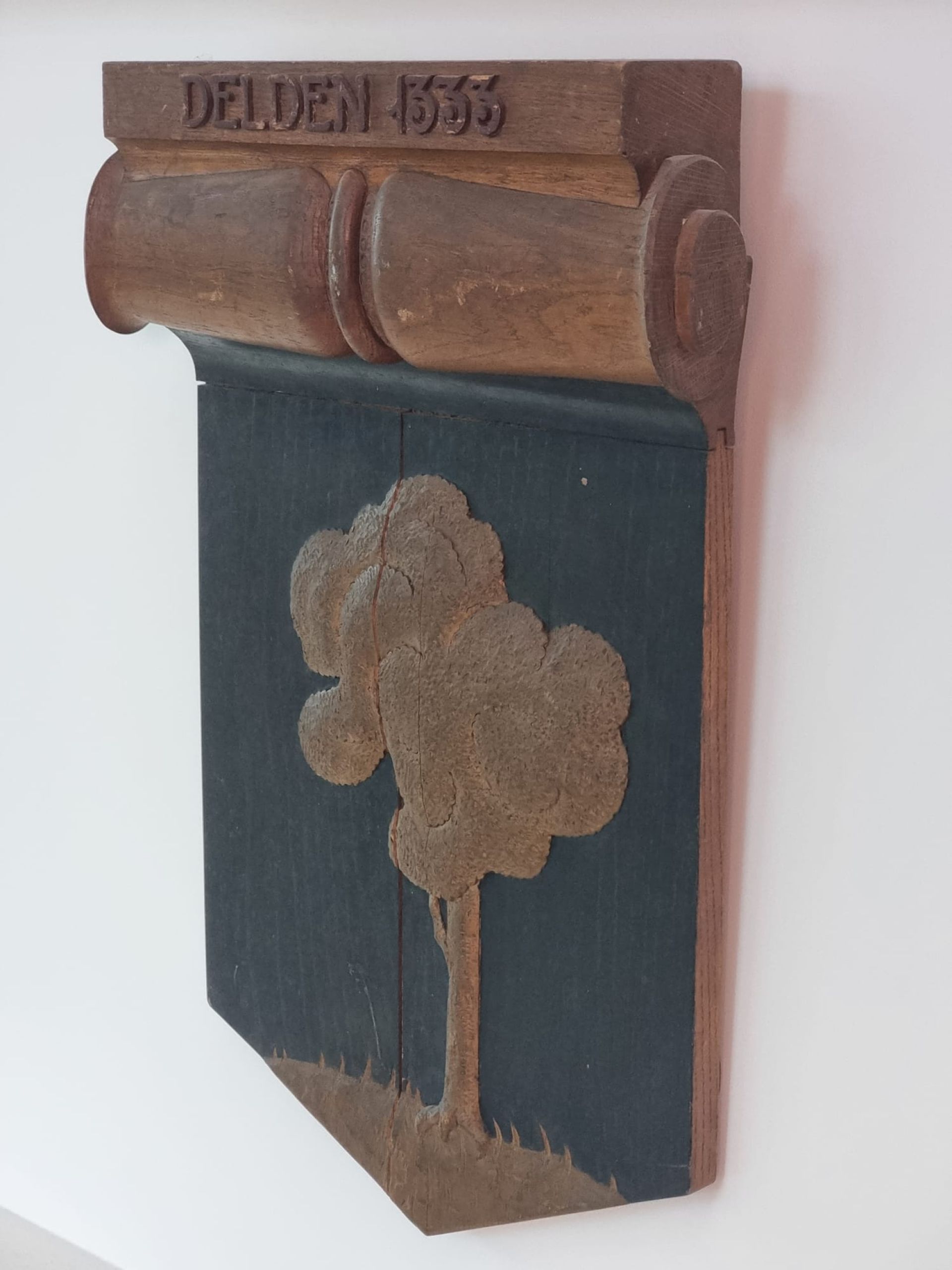 De geschiedenis van Delden in Beeld - Wapenschild van Delden
