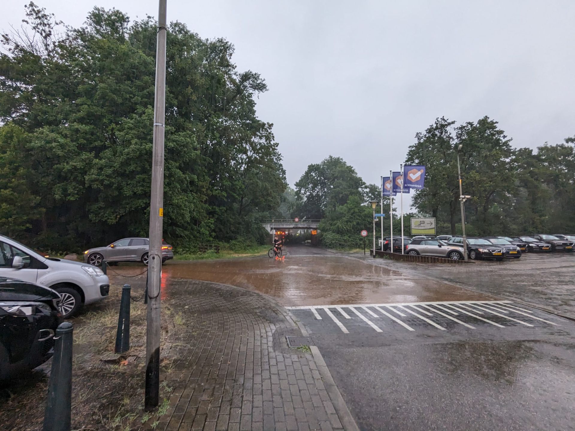 Omgevallen boom verspert weg onder tunneltje naar Vossenbrinkweg 