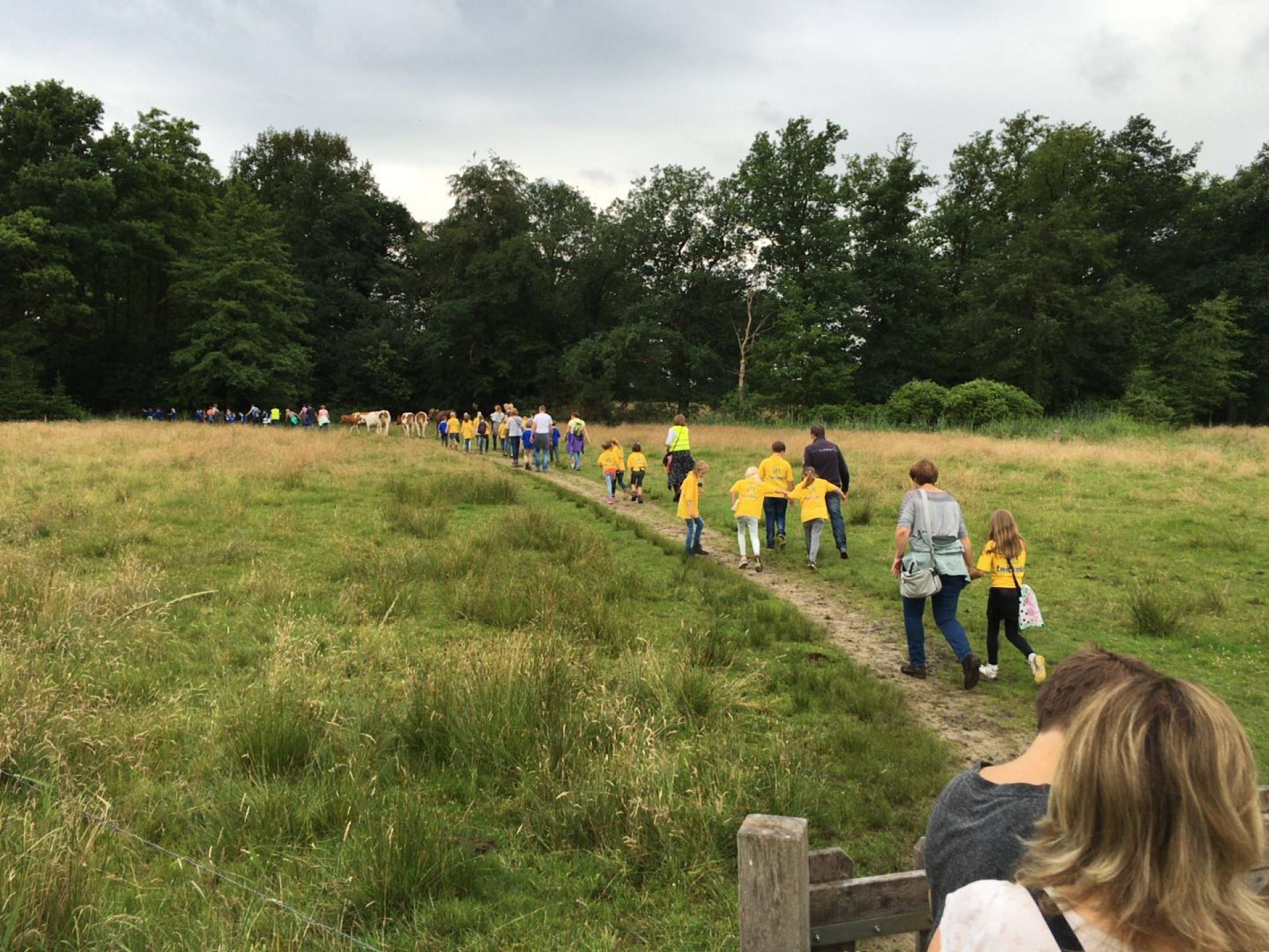 Grote deelname aan 34e Avond4daagse Delden