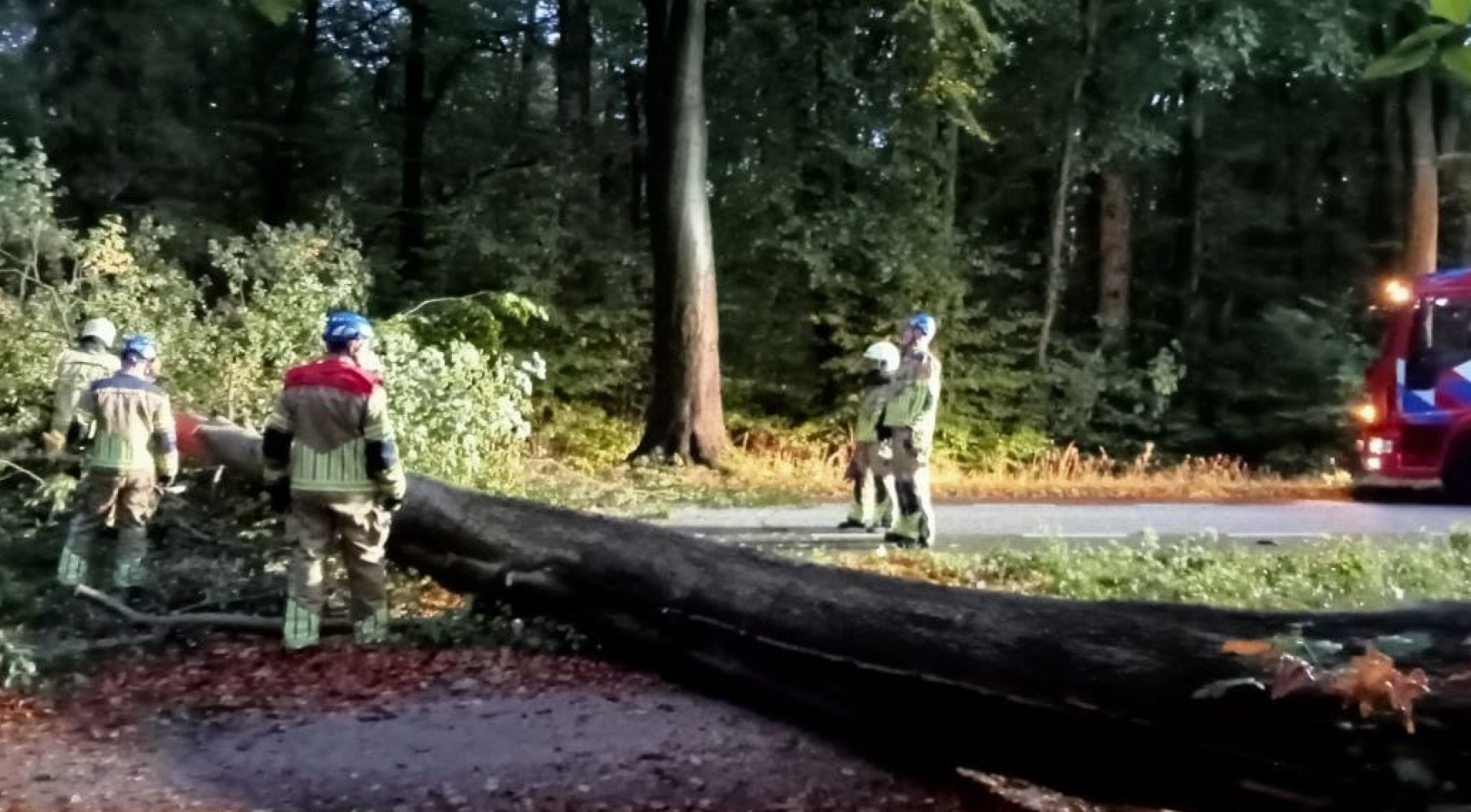 Brandweer verwijdert boom die weg naar Borne blokkeerde