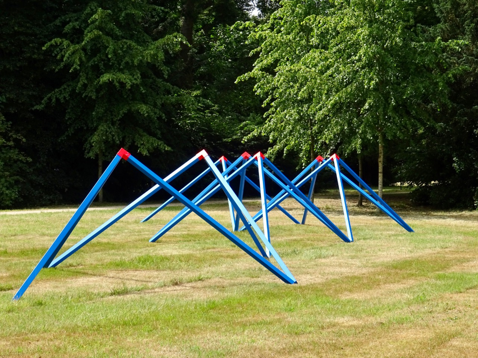 Buitenbeelden in Twickelpark hele zomer te zien