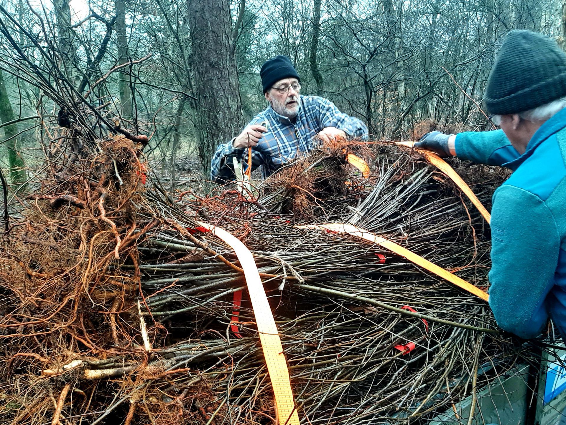 Gratis bomen voor inwoners Delden op zaterdag 18 februari