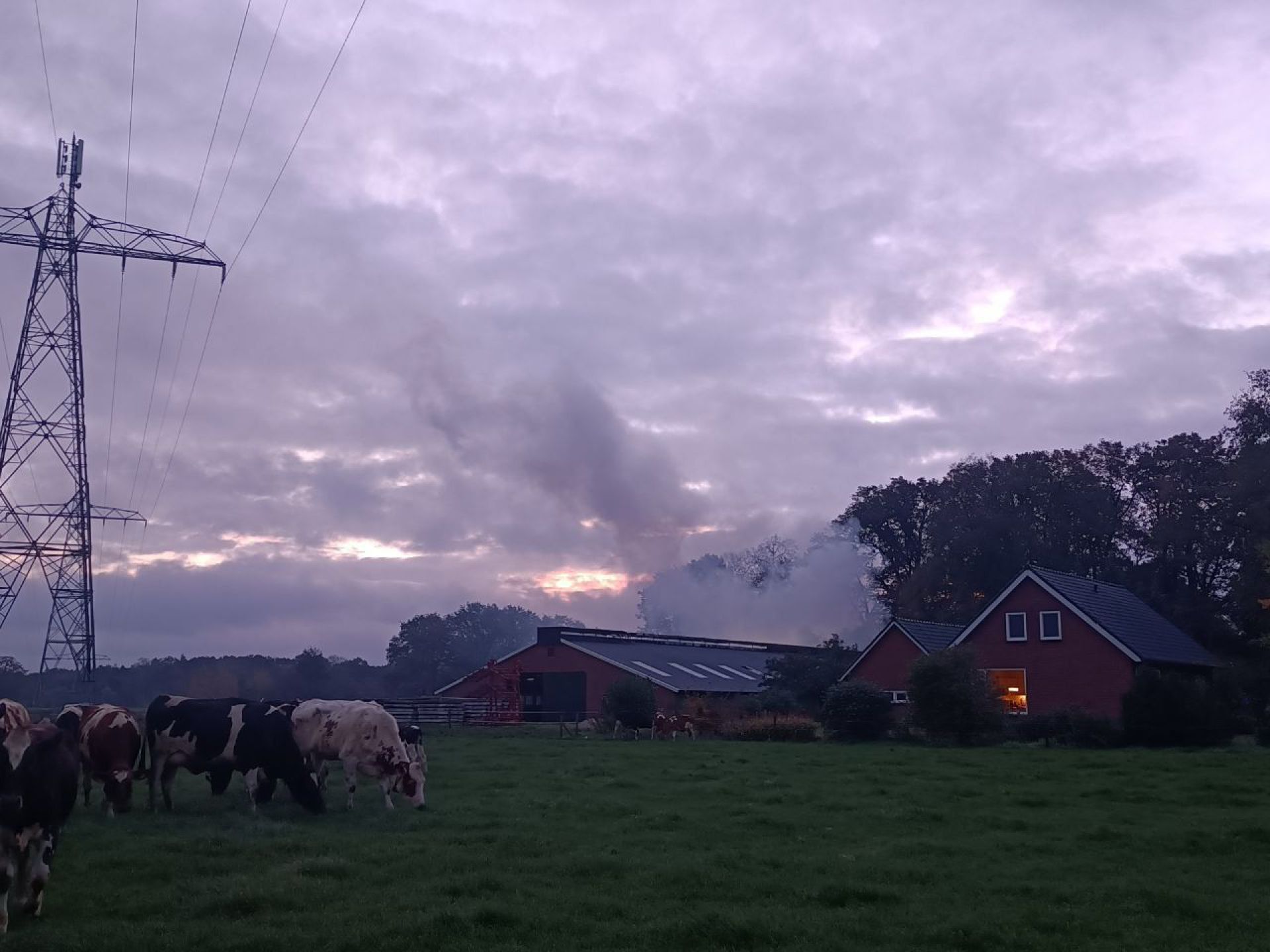 Kalveren overleden bij stalbrand in Ambt Delden