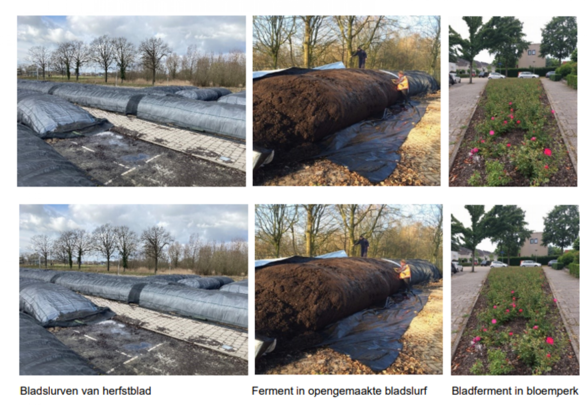 Gemeente Hof van Twente gebruikt bladafval voor bodemverbetering
