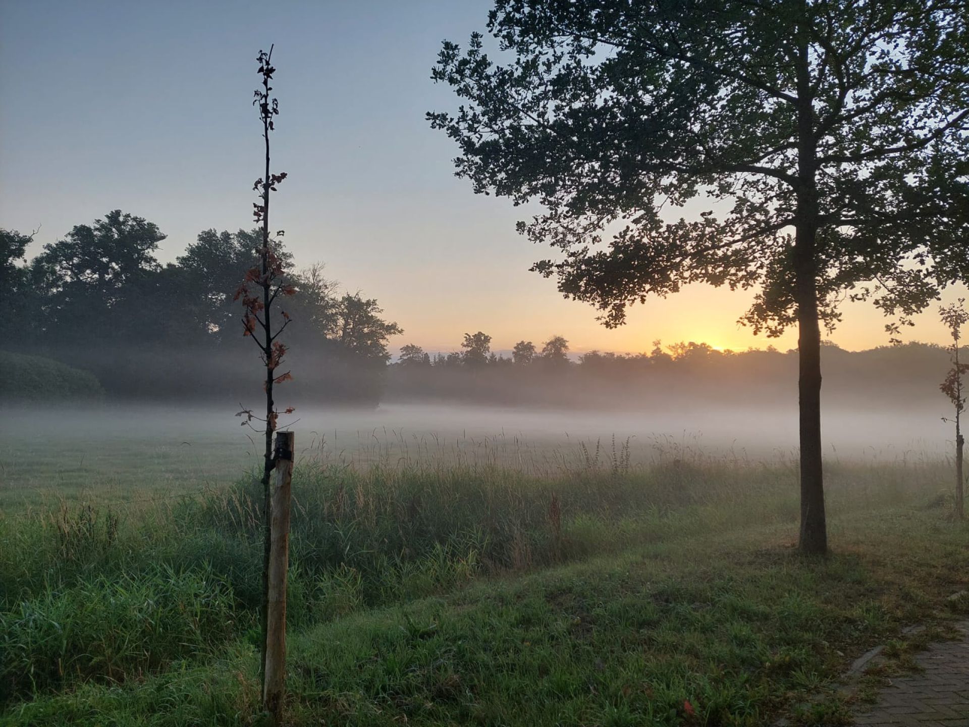 Twickel worstelt met droogte: &lsquo;Blijft ook komende jaren een probleem&rsquo;