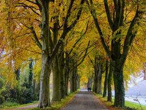 herfst 2013