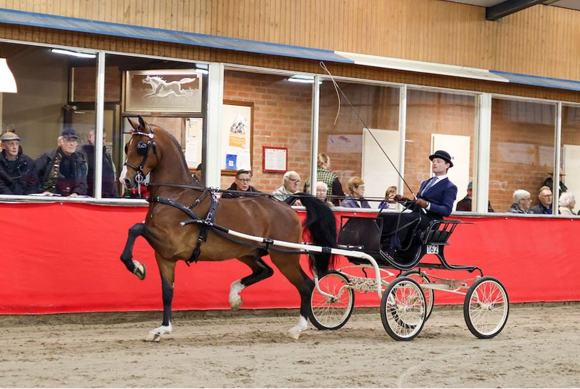 Twentse Tuigpaardendag: Een Spektakel voor Paardenliefhebbers