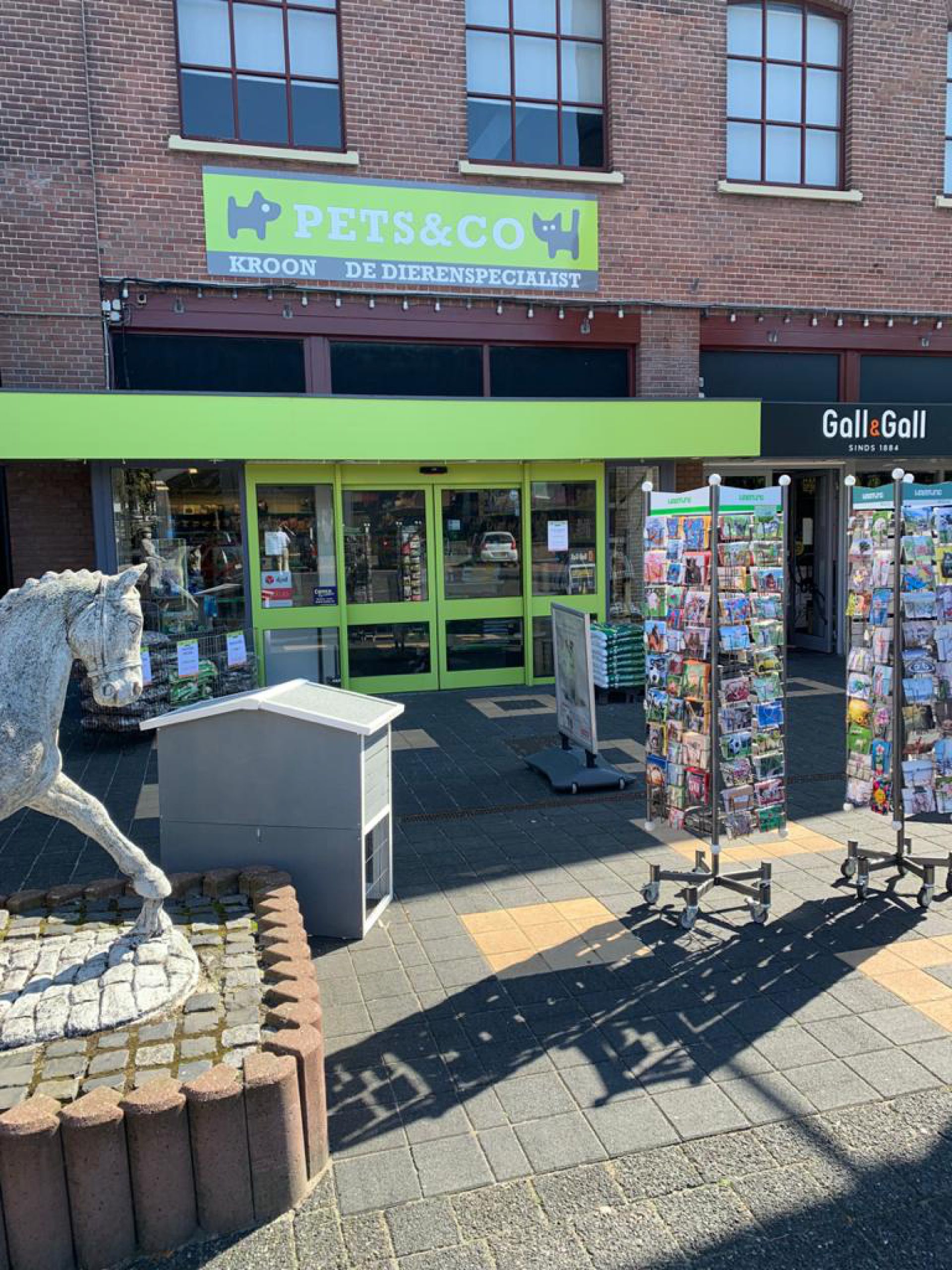 Deldense dierenspeciaalzaak in actie voor dieren in Oekra&iuml;ne: &lsquo;Alles is welkom&rsquo;